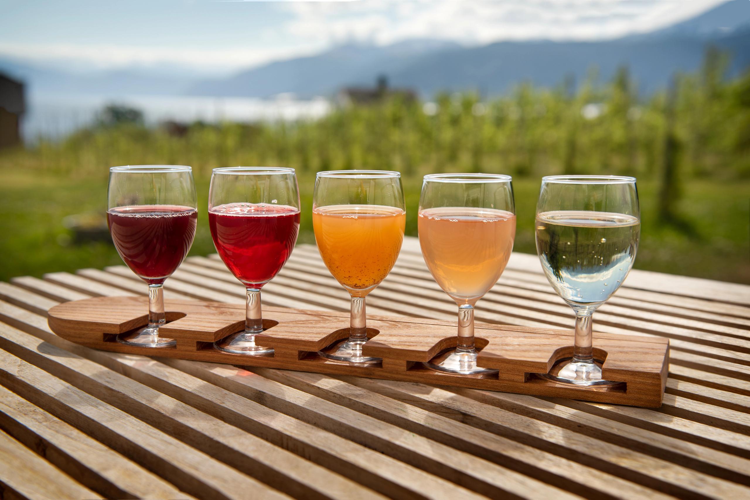 Fem glass med sider i ulike farger hos Ciderhuset Balholm i Sogn på Vestlandet
