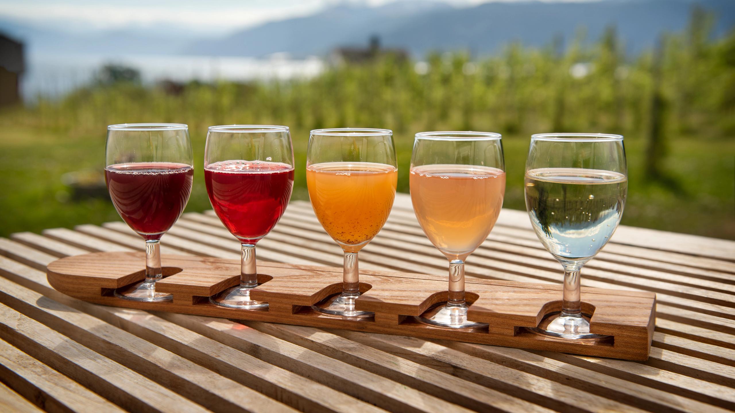 Fem glass med sider i ulike farger hos Ciderhuset Balholm i Sogn på Vestlandet