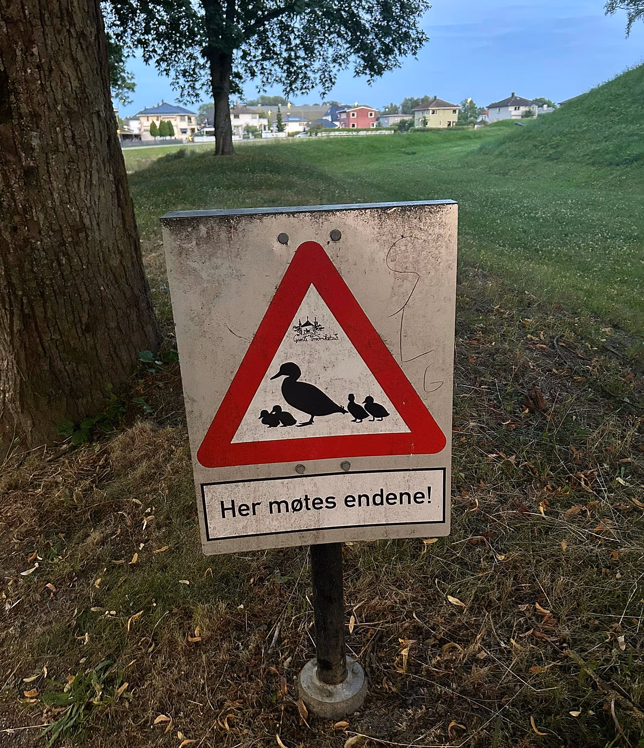 Duck sign in the old town of Fredrikstad