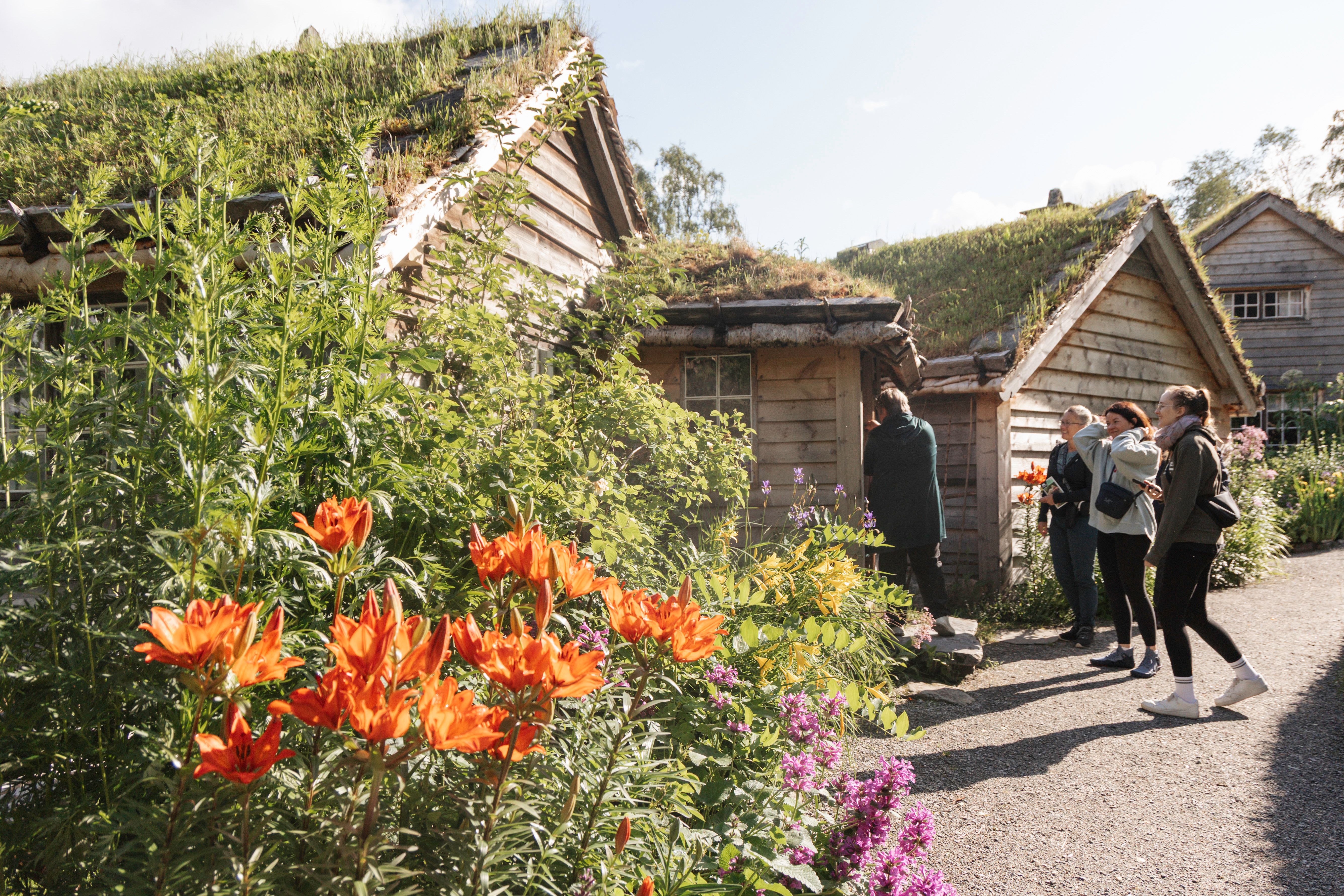 Women entering wooden cabin among colourful greenery at Astruptunet