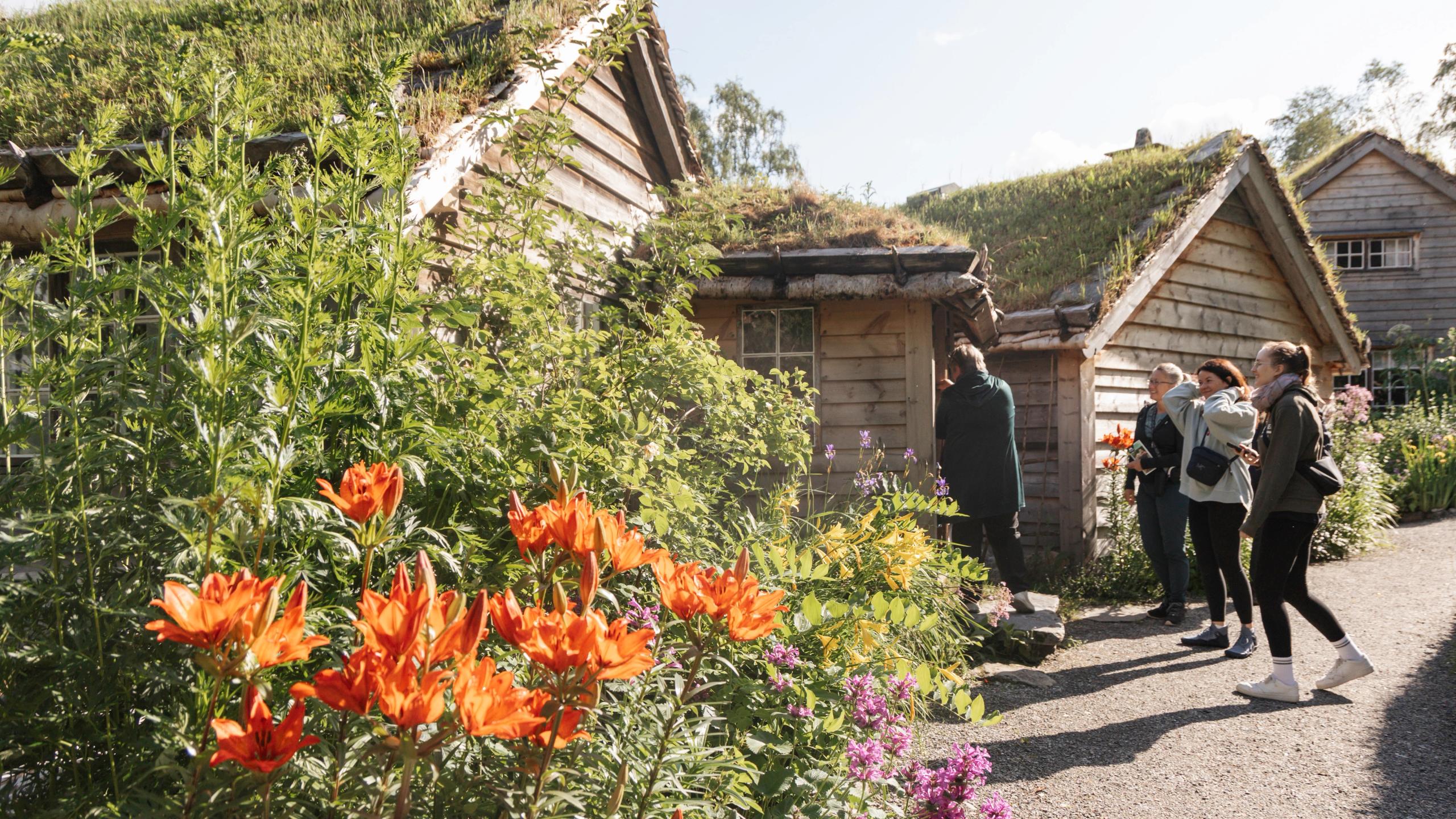 Women entering wooden cabin among colourful greenery at Astruptunet