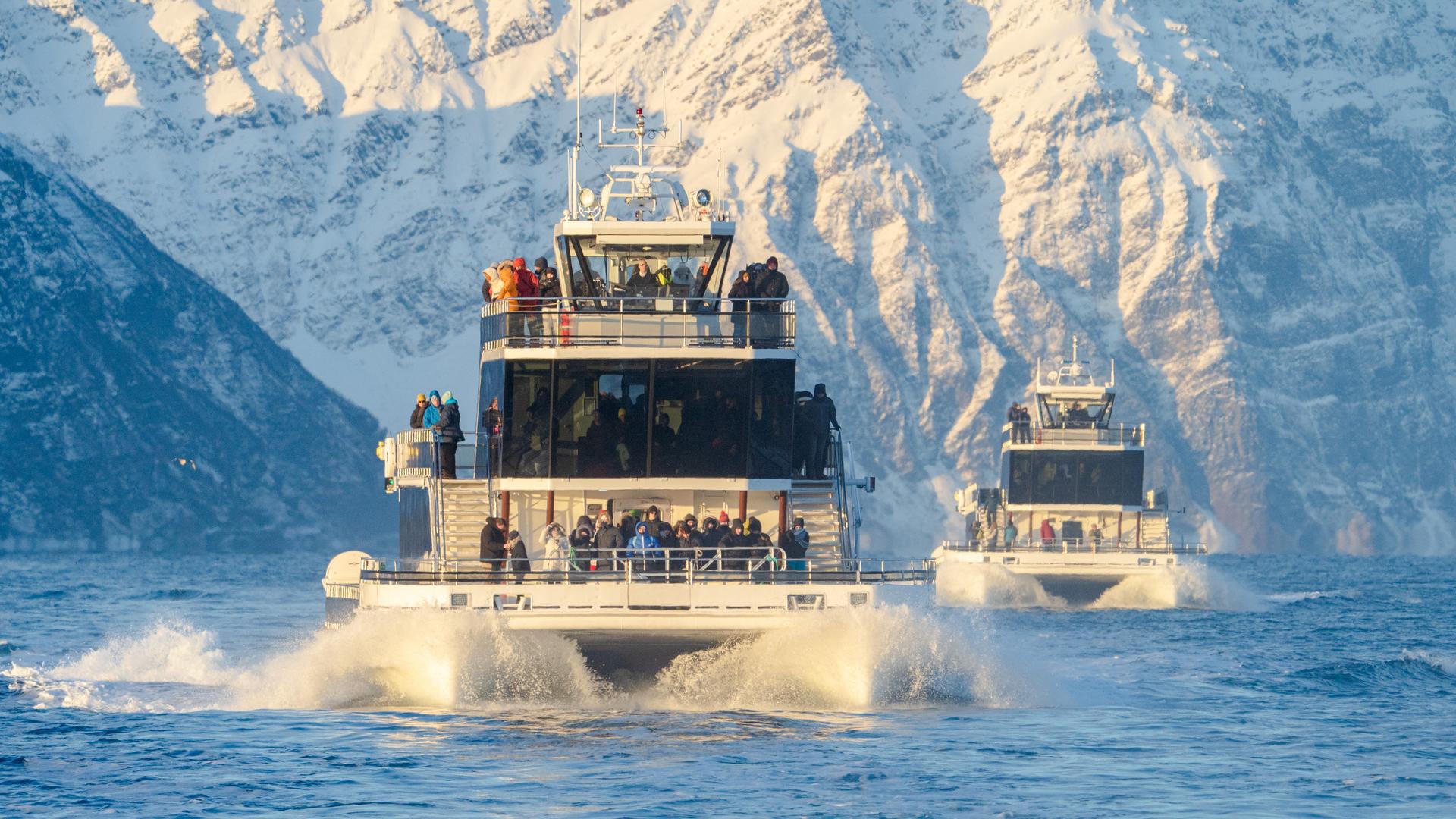Brim Explorer electrical boat in Tromsø - whale watching
