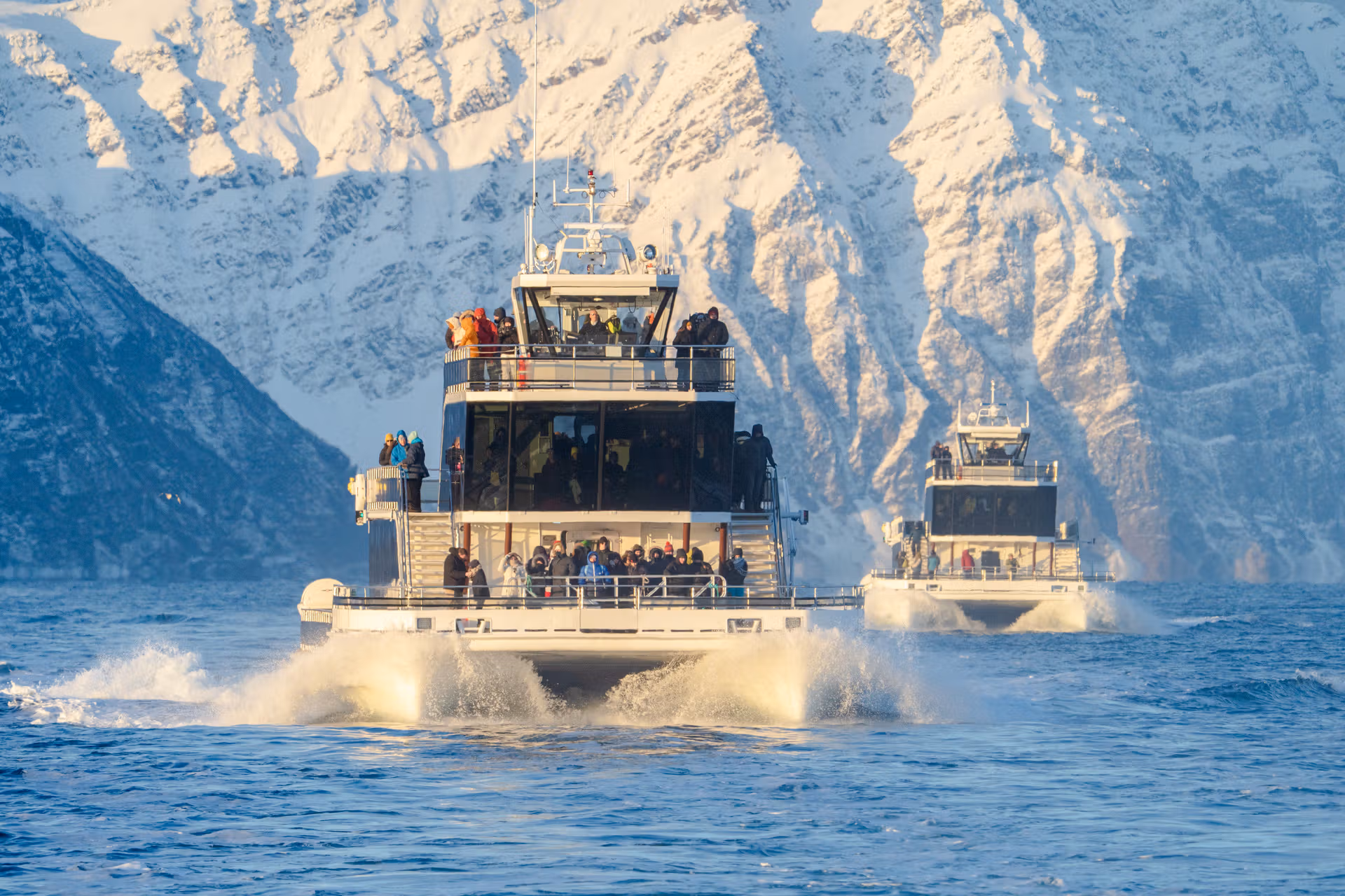Brim Explorer electrical boat in Tromsø - whale watching