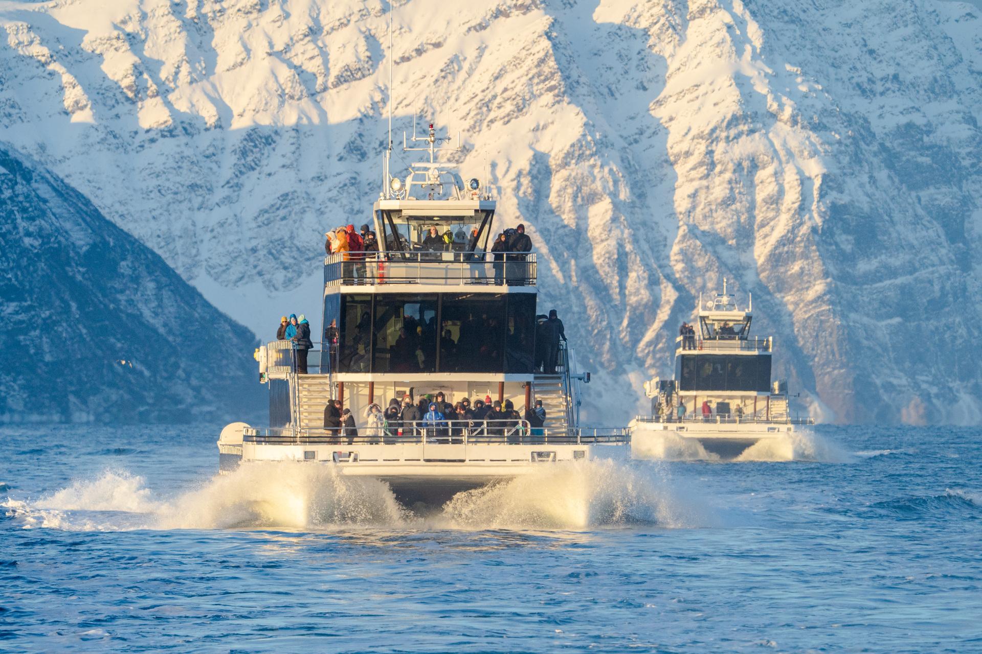 Brim Explorer electrical boat in Tromsø - whale watching