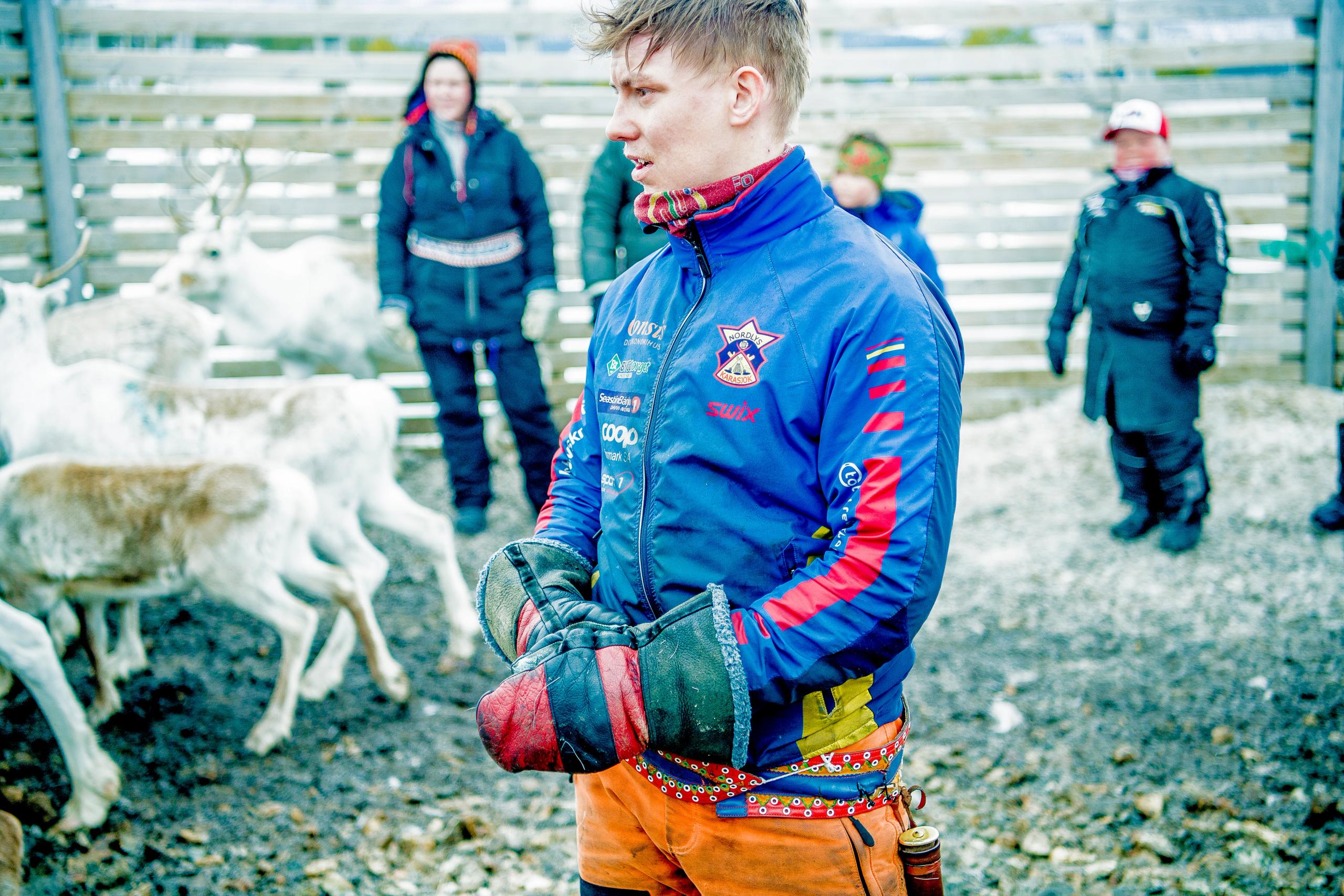 Finnmarksvidda