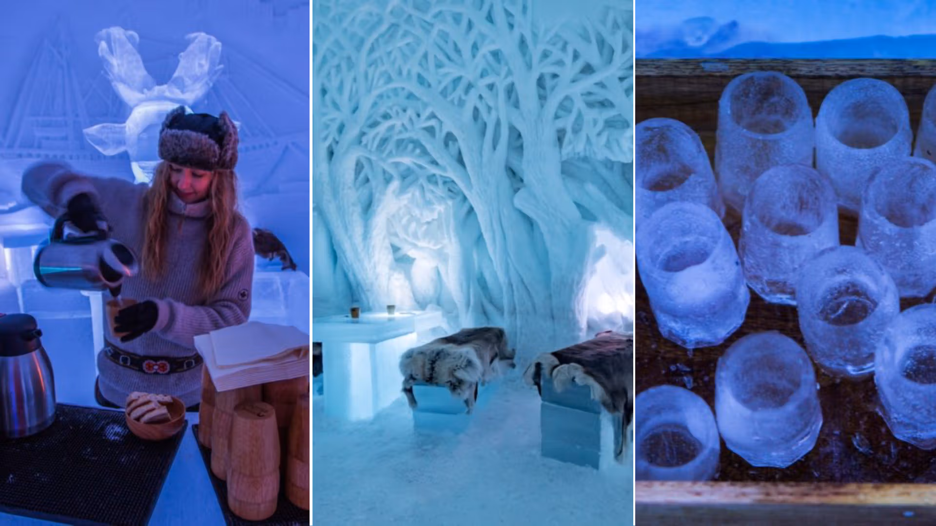 Woman serving coffee in the bar at Tromsø Ice Domes