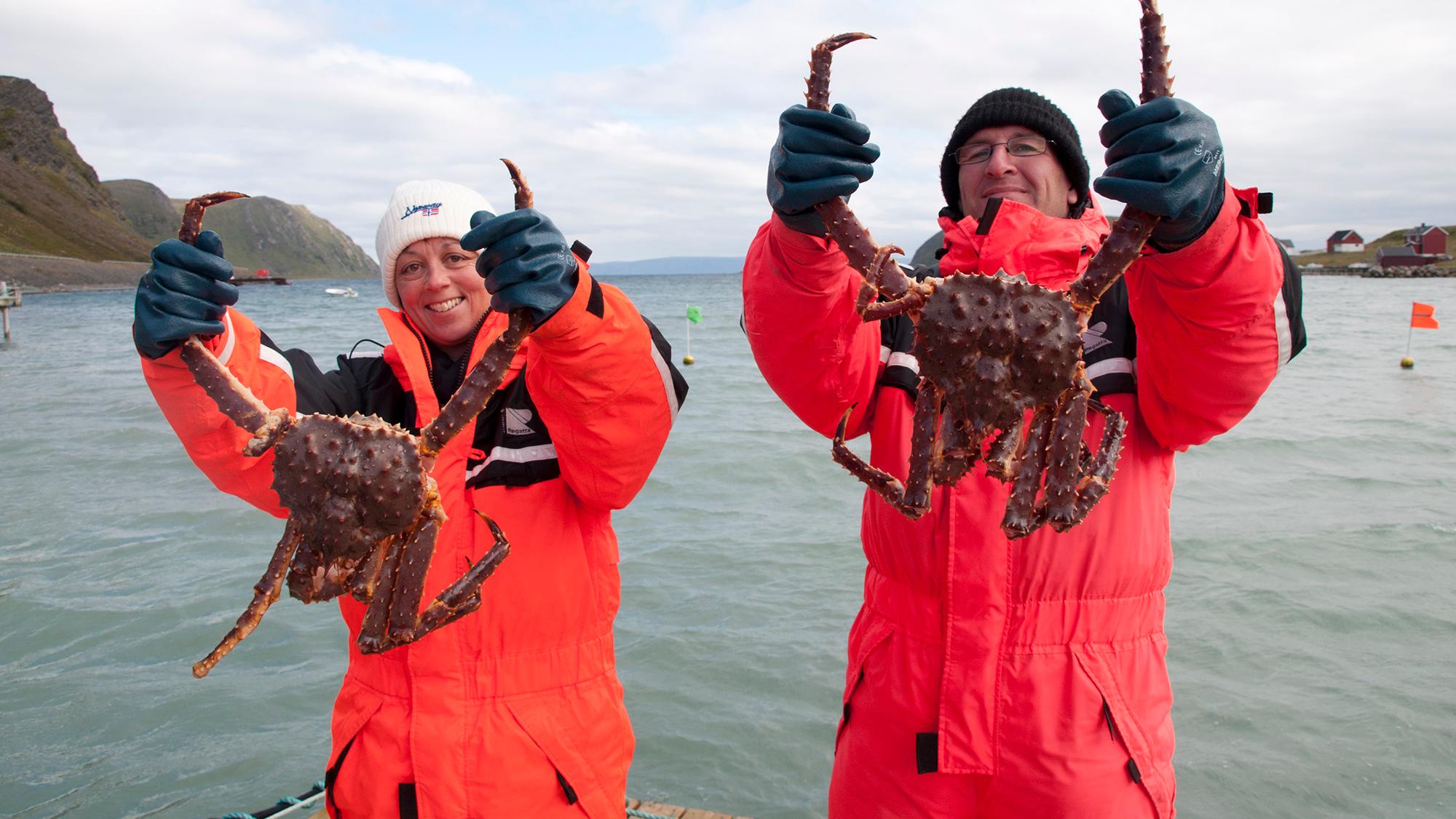 Two people holding up king crabs on a boat outside of Honningsvåg in Northern Norway