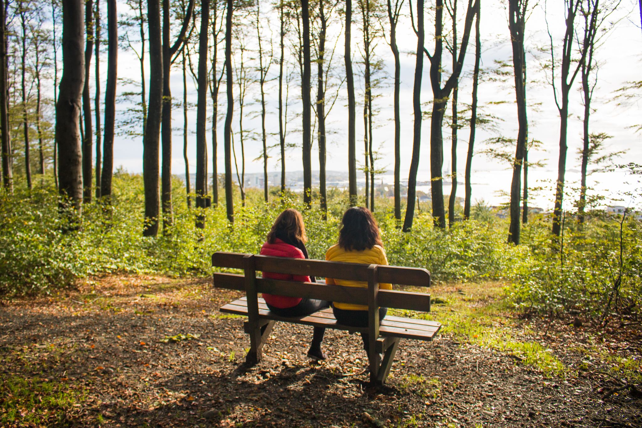 Women sat on a bench in the woods