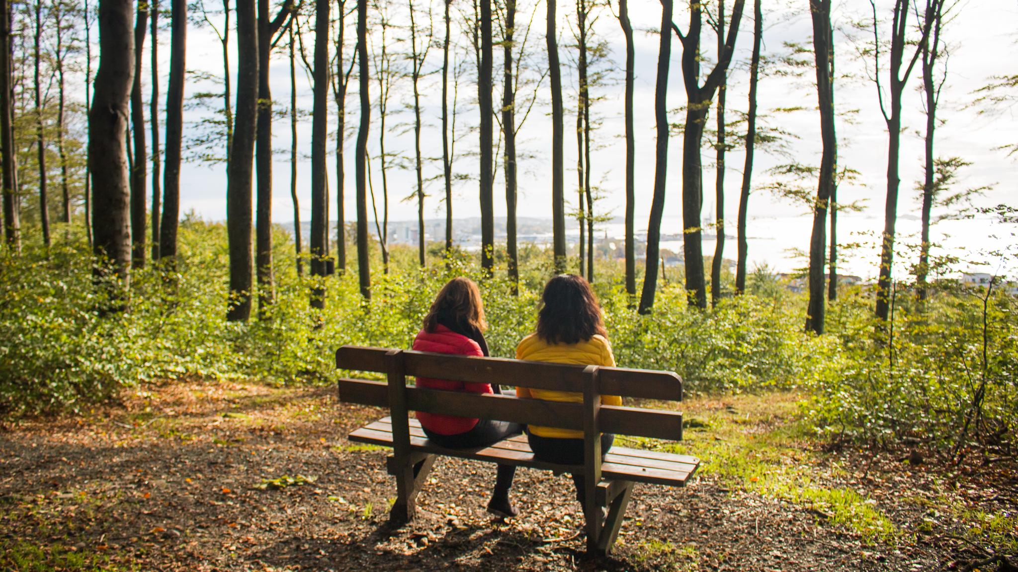 Women sat on a bench in the woods
