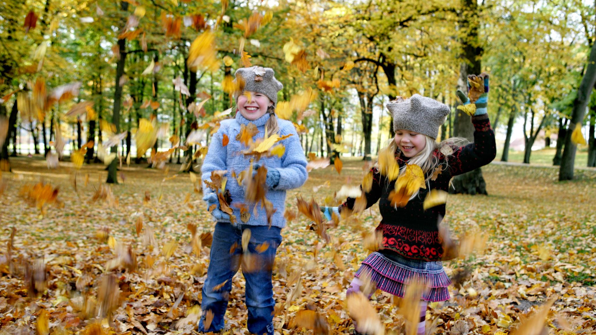 Autumn fun