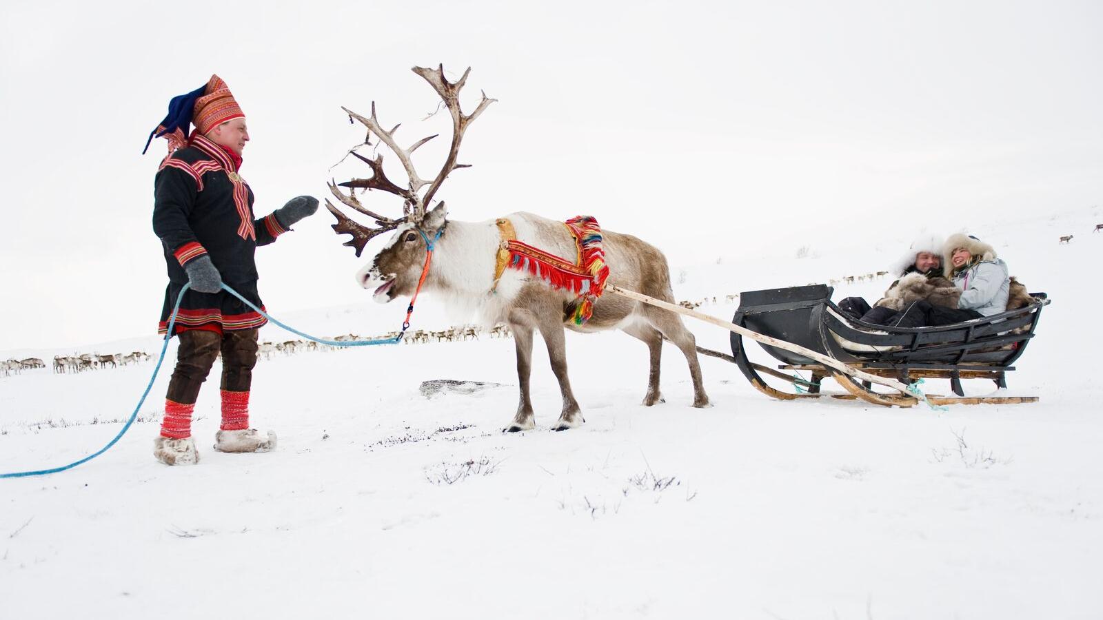 Couple riding a reindeer sled in Finnmark