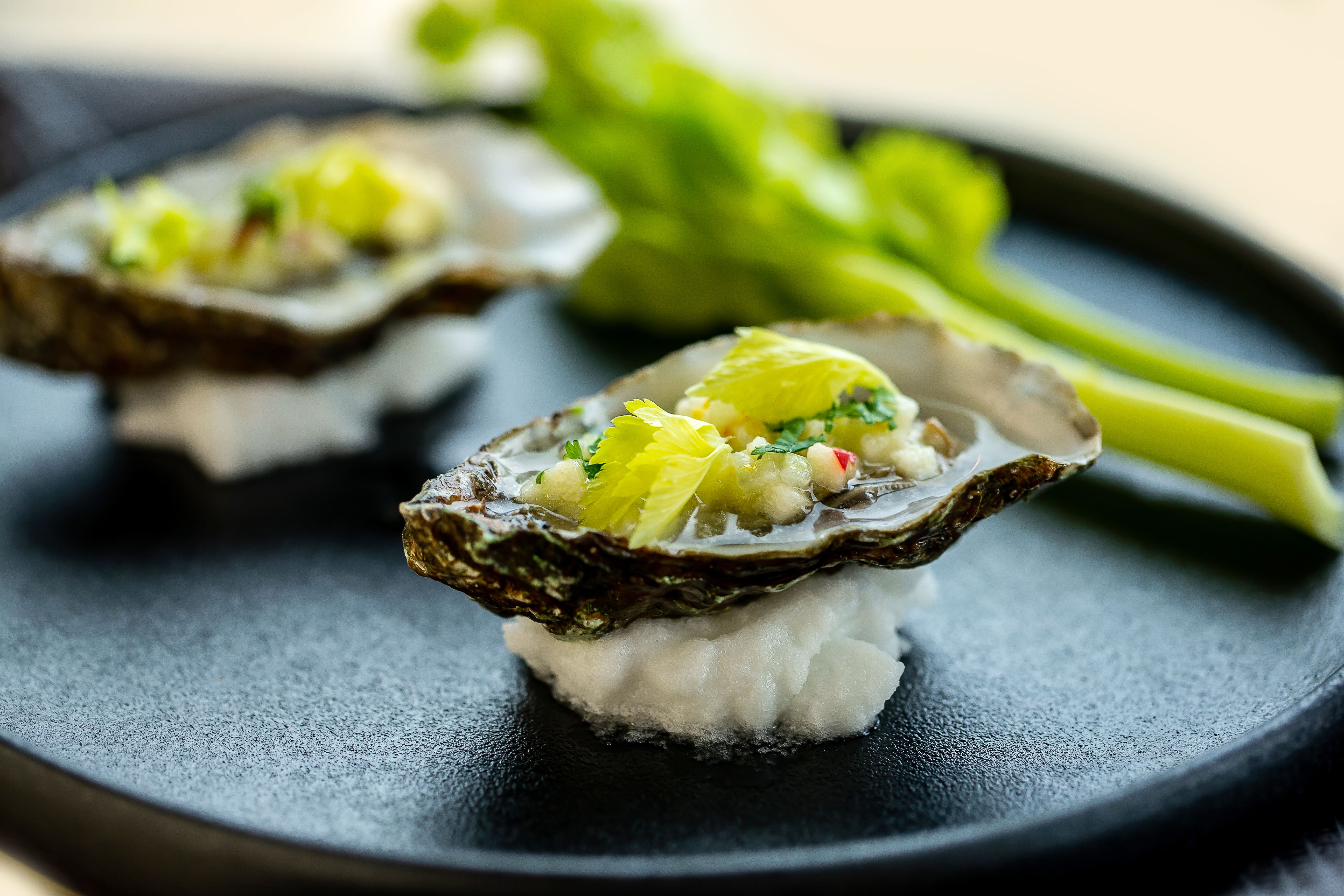 Oysters