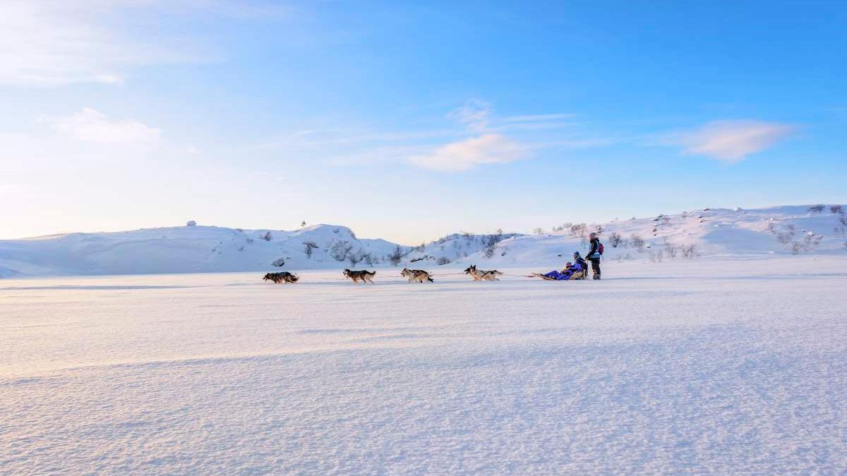 To mennesker kjører hundeslede i Kirkenes