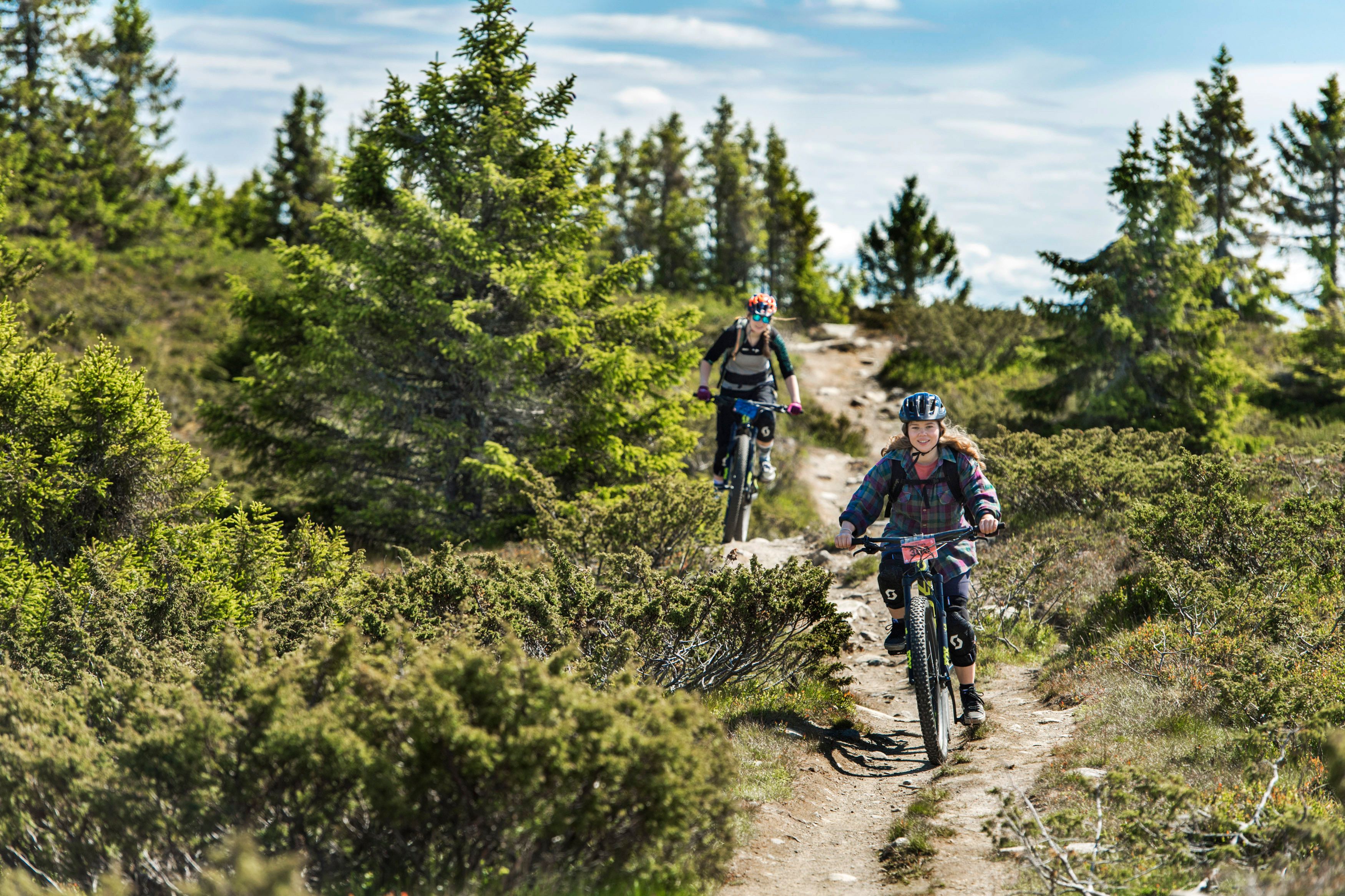 Two people cross-country biking in Hafjell, Eastern Norway