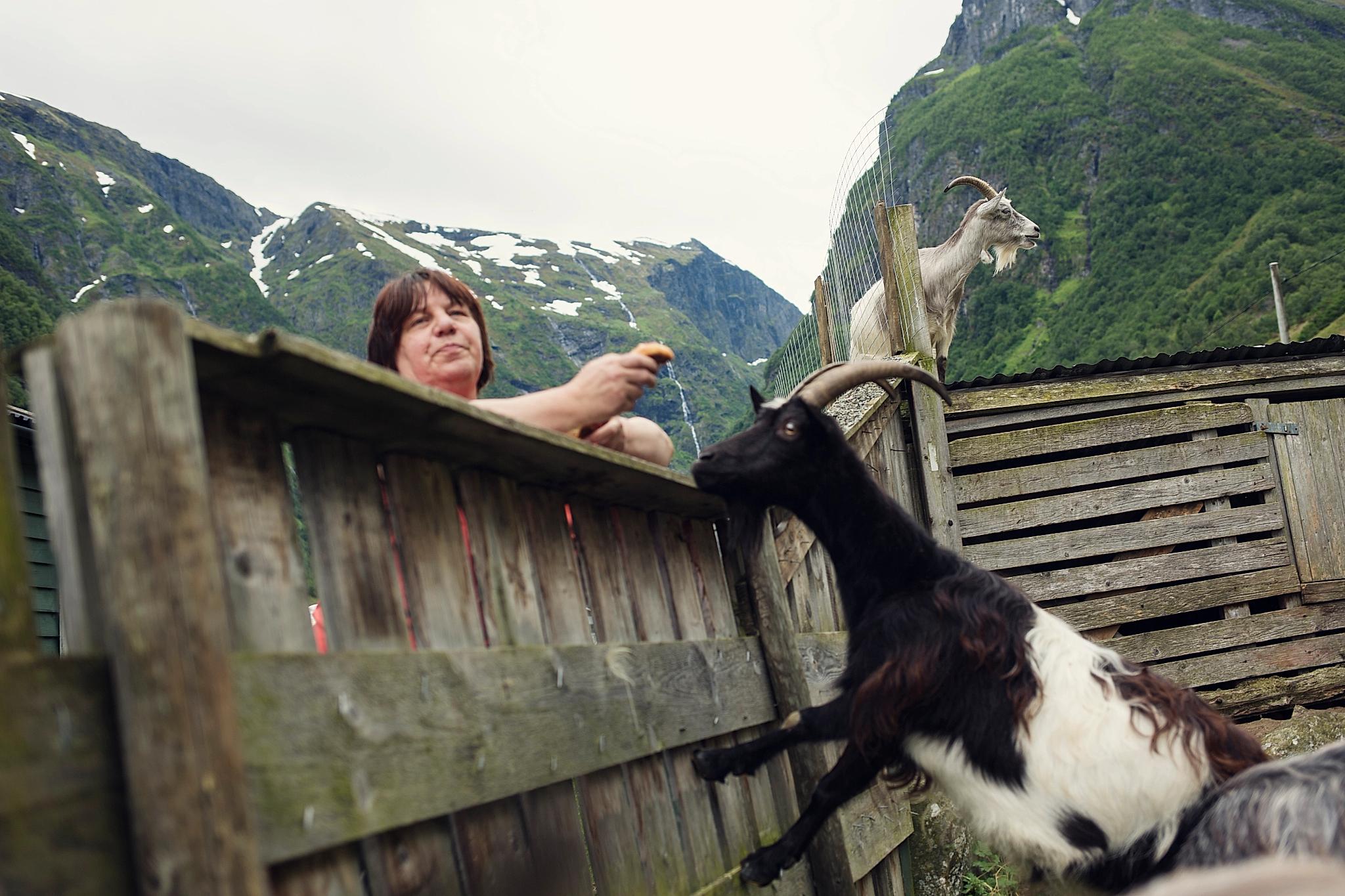 Nærøyfjord
