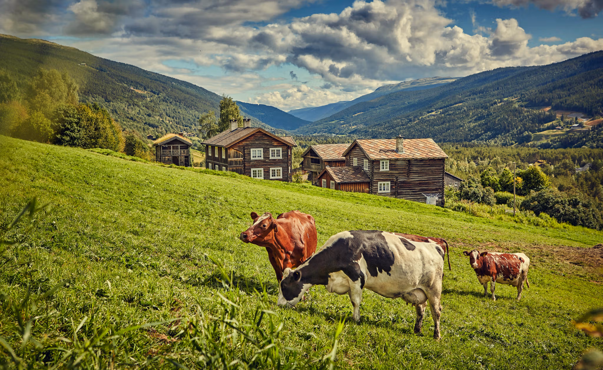 The mountain farm Heidal Ysteri in the Gudbrandsdalen Valley of Eastern Norway