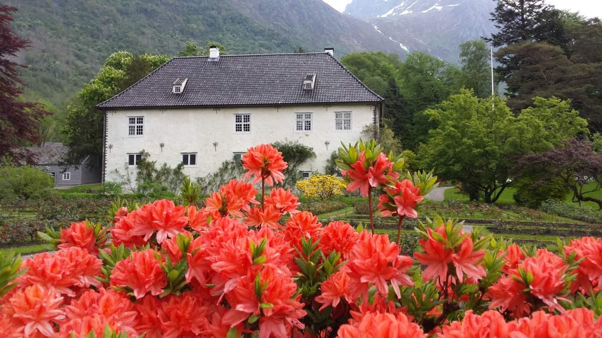 Full blomstring på Baroniet Rosendal i Hardanger på Vestlandet