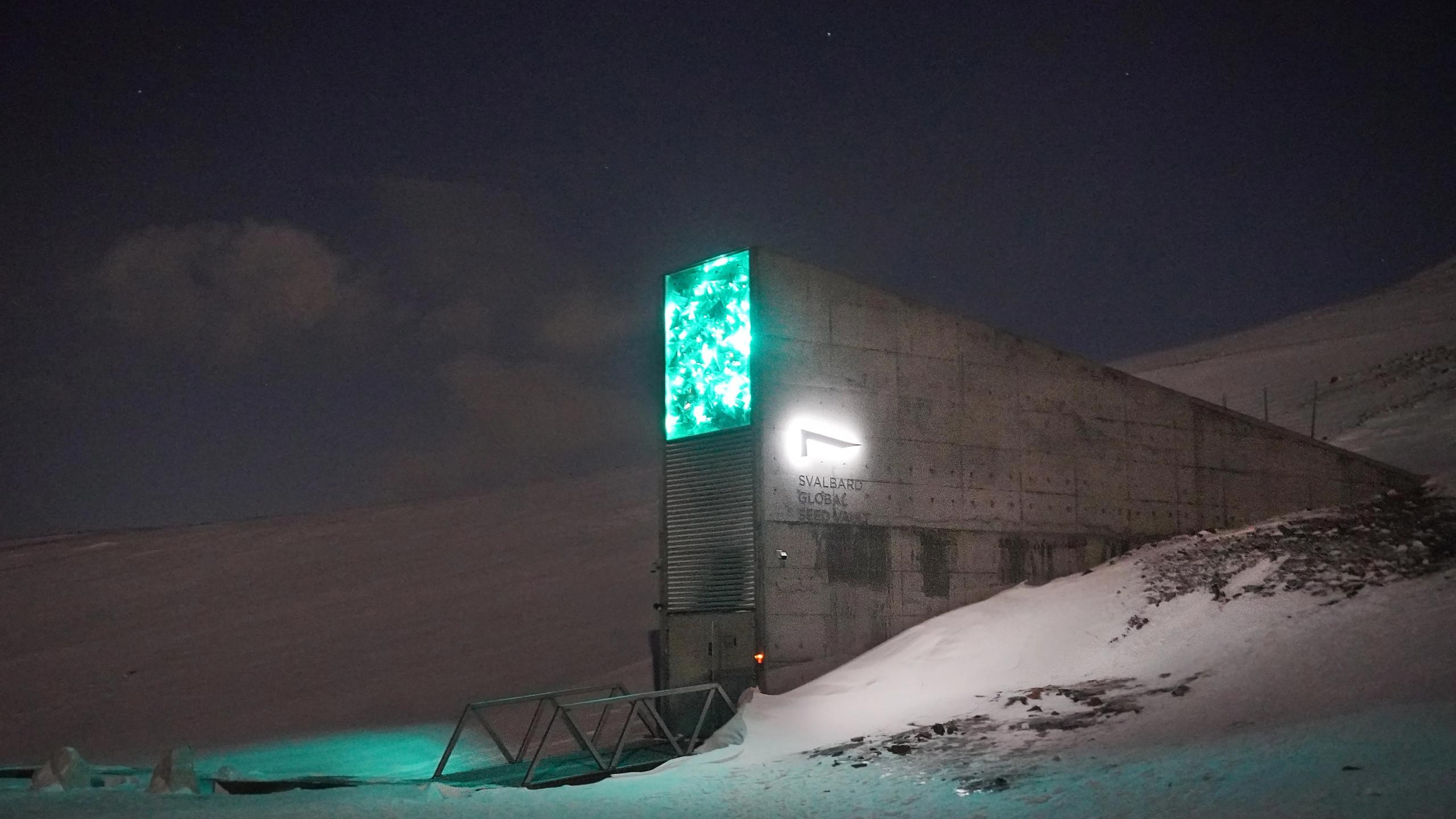 Frøhvelv på Svalbard dekt i snø