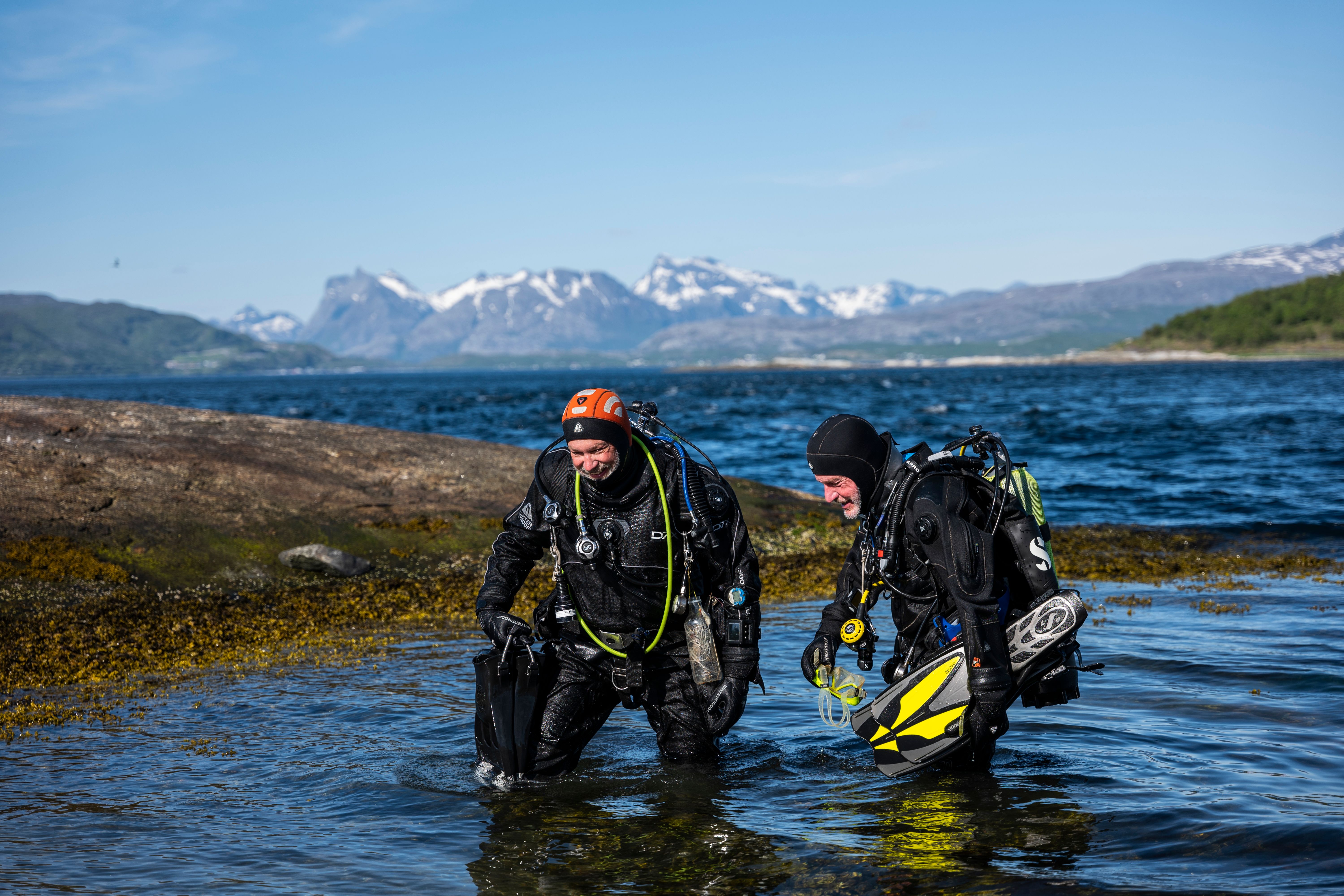 Two people diving in Saltstraumen maelstrom in Northern Norway