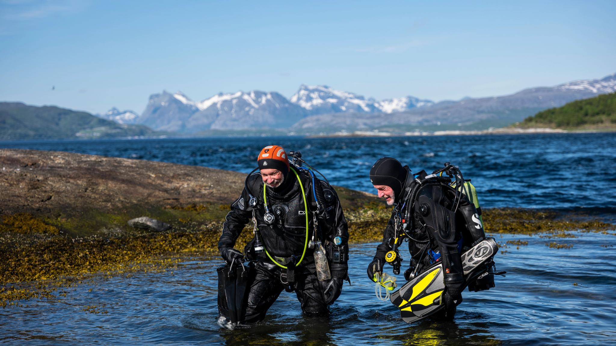 Two people diving in Saltstraumen maelstrom in Northern Norway