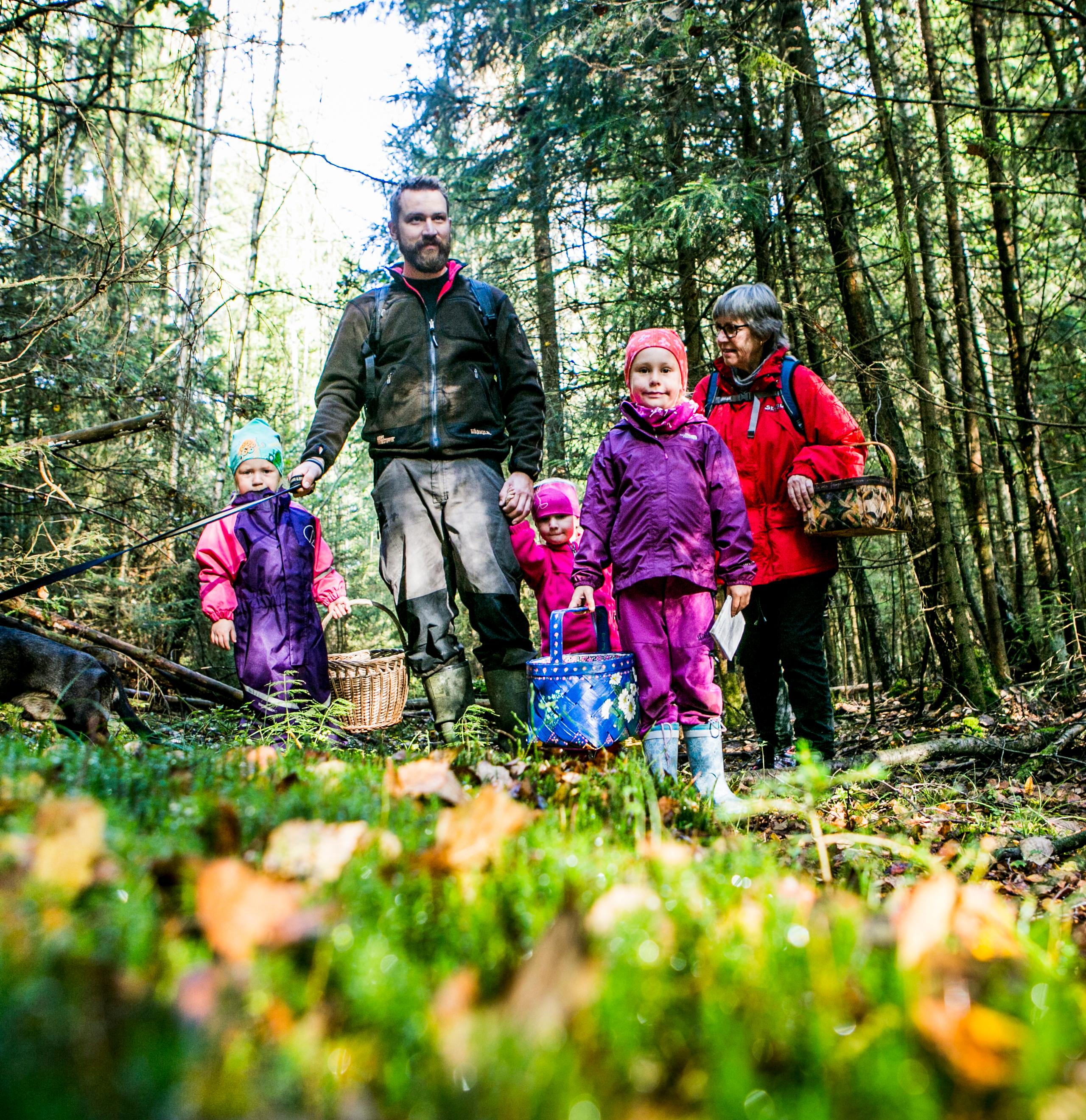 En familie er ute og plukker sopp i skogen i Moss på Østlandet