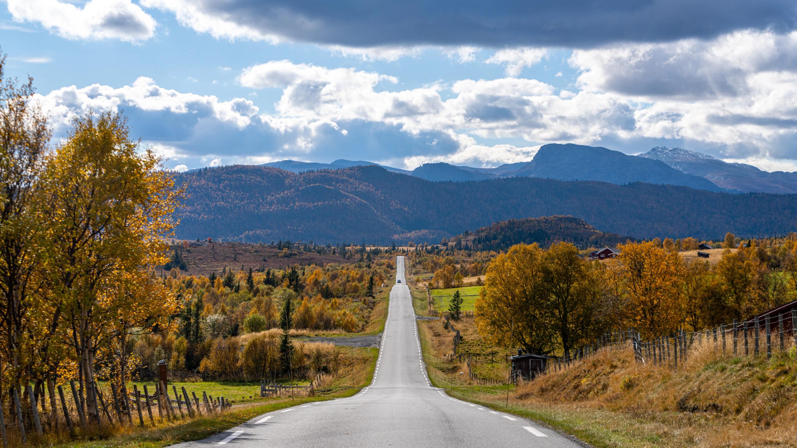 A car driving on a road in autumn.