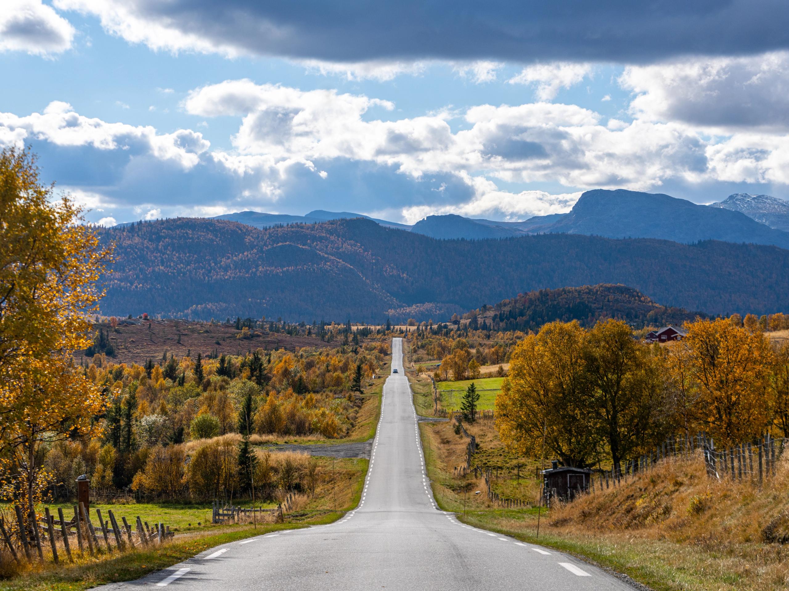 A car driving on a road in autumn.