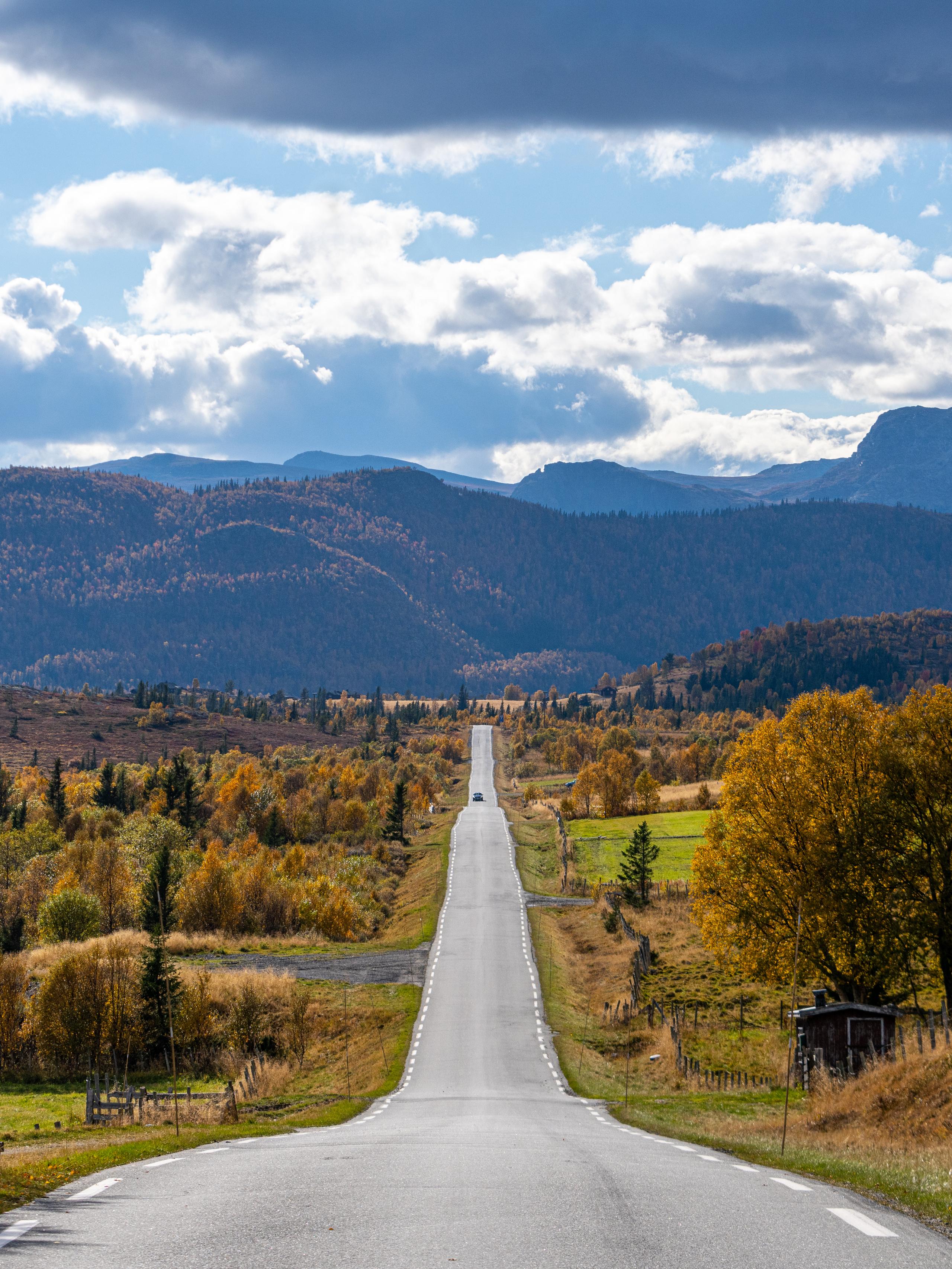 A car driving on a road in autumn.
