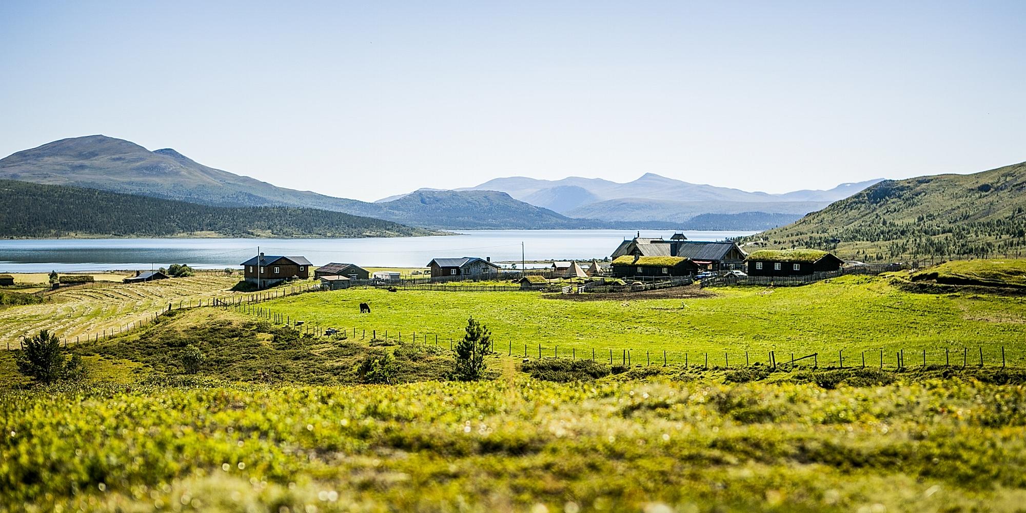 Brimi Sæter om sommeren, Lom.