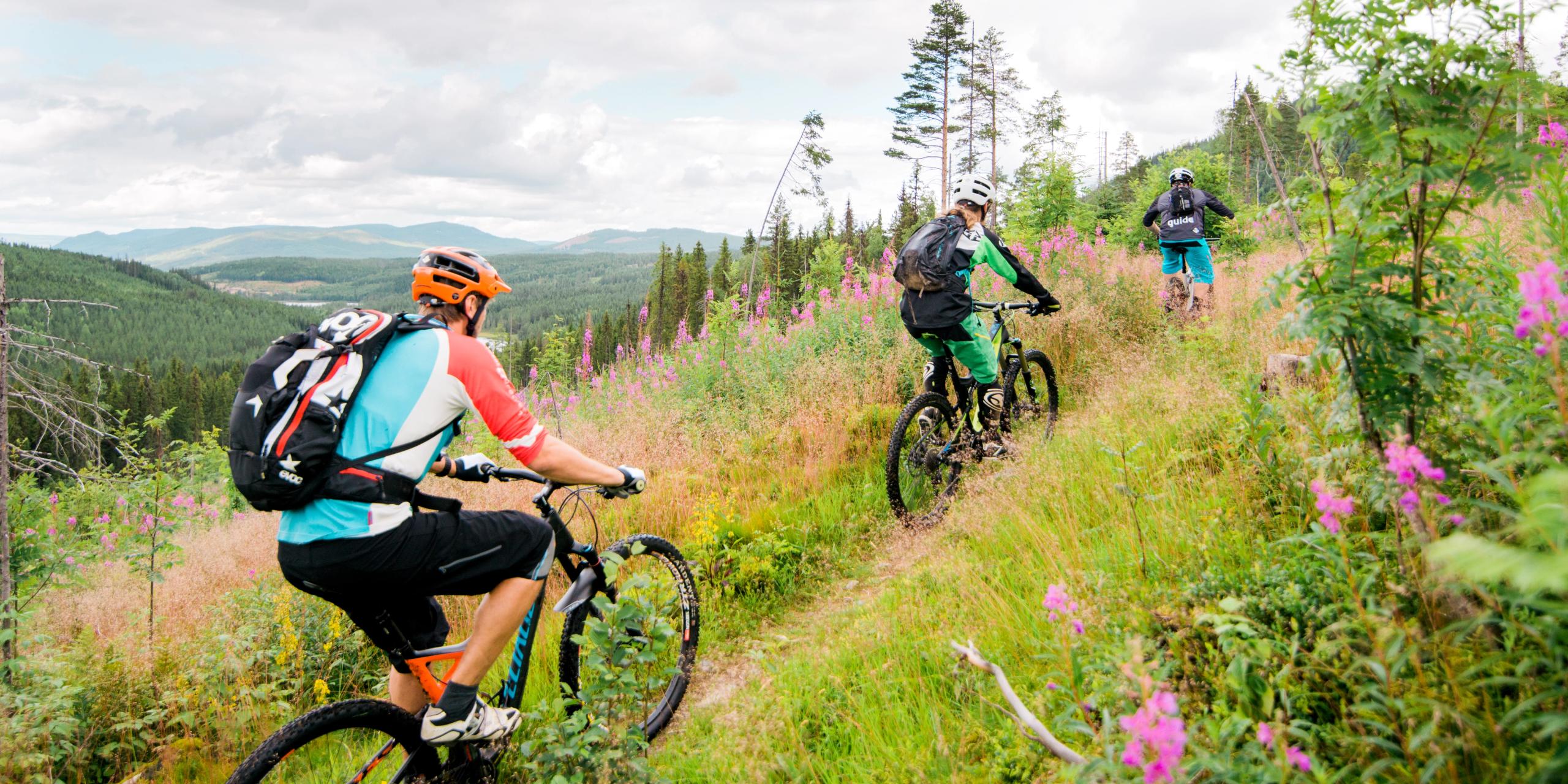Fietsen op de verborgen paden in Trysil, Oost-Noorwegen