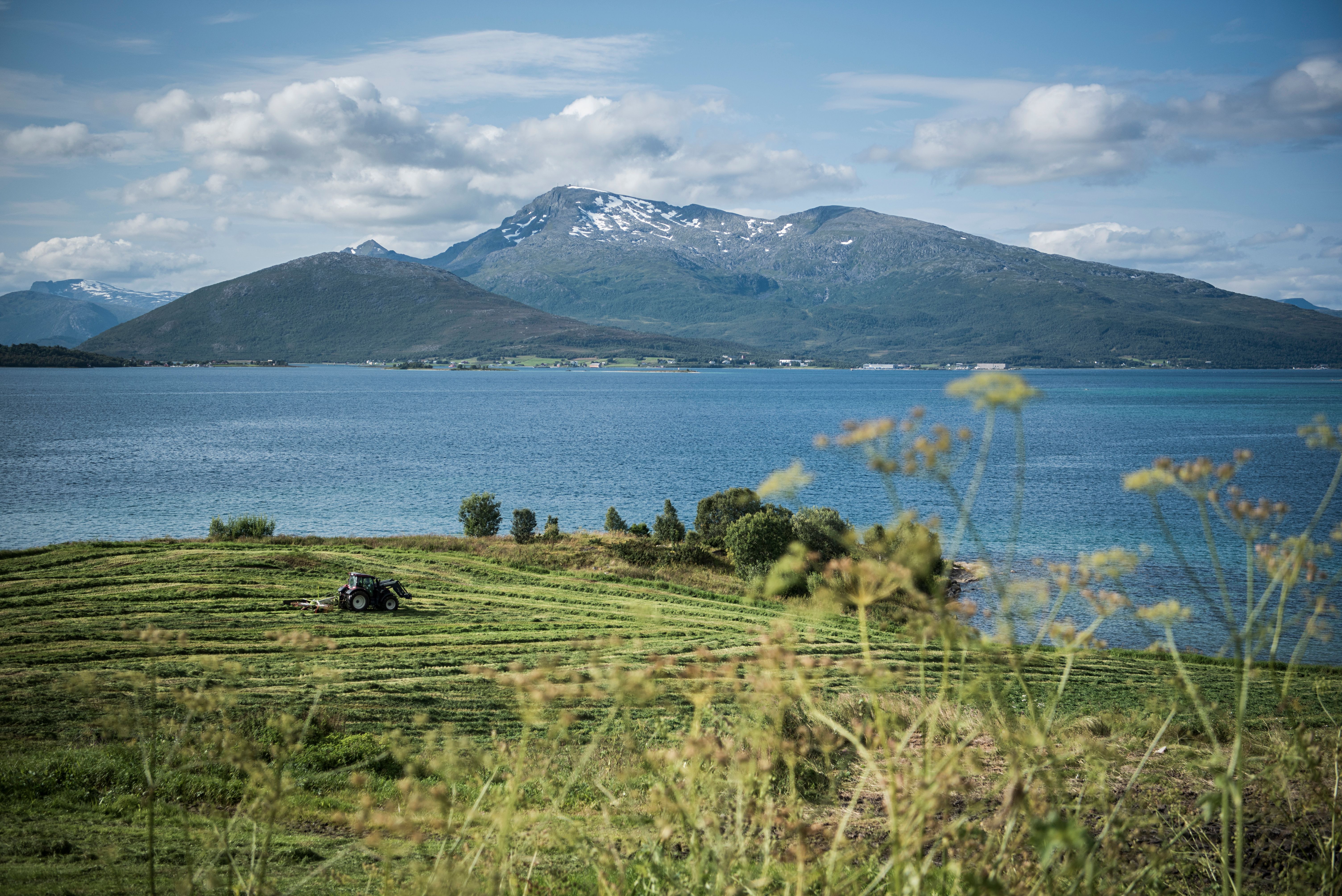 A tractor plowing the fields in front of the fjord and the mountains near Harstad in Northern Norway