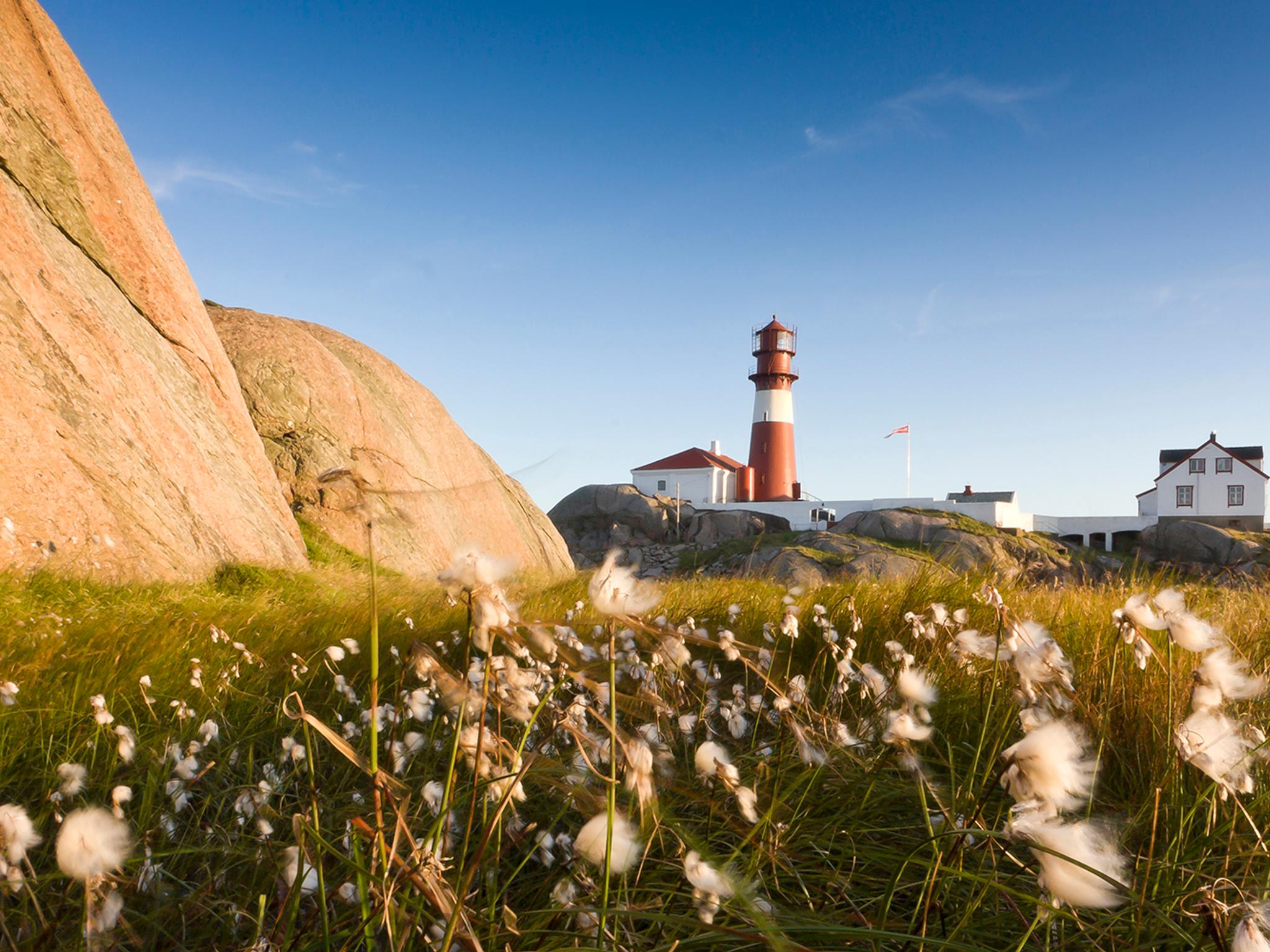 Flores y vegetación en primer plano, con el faro de Ryvinge, en Lindesnes, Sur de Noruega, de fondo.