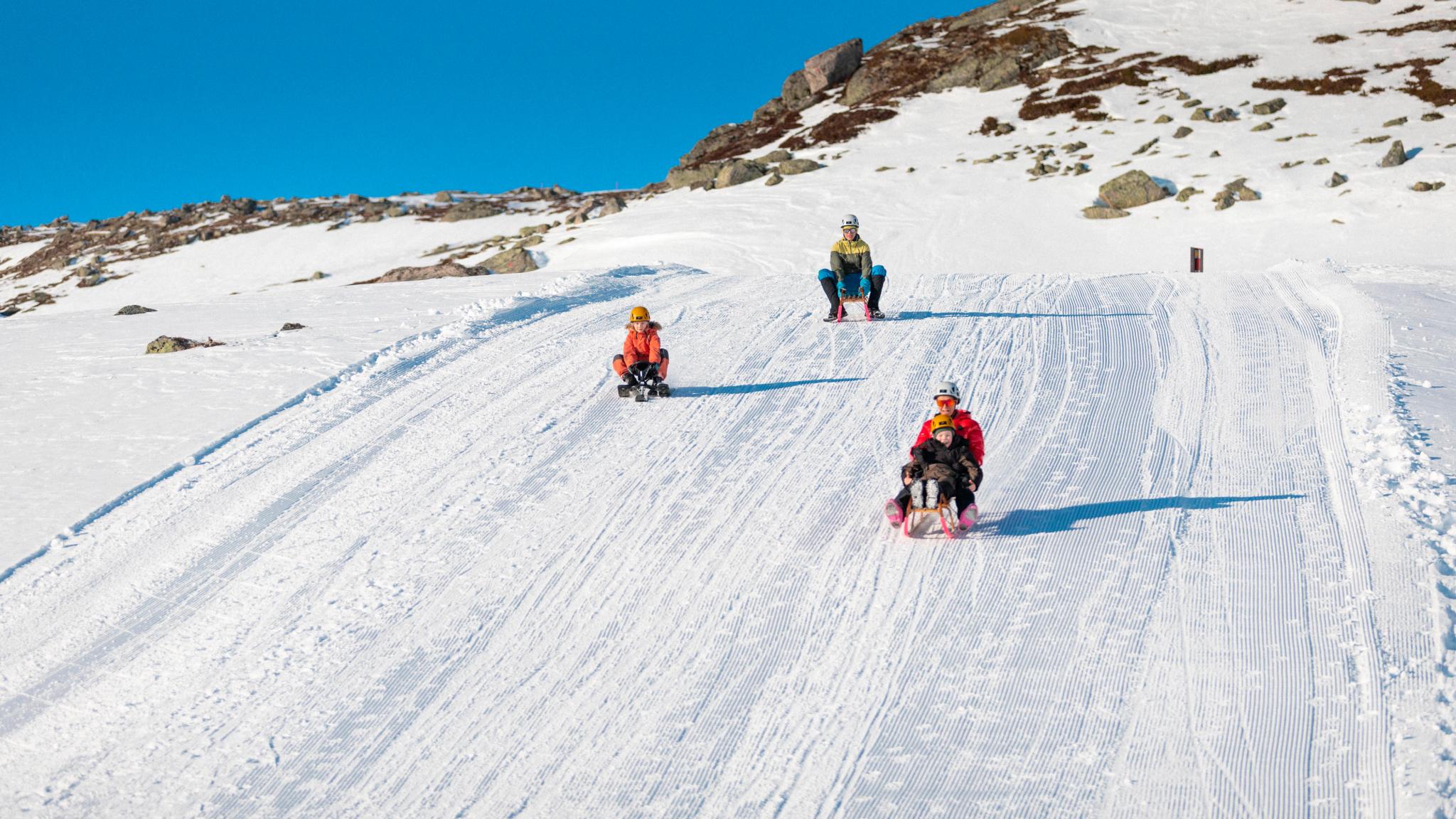 People sledding down a mountain.