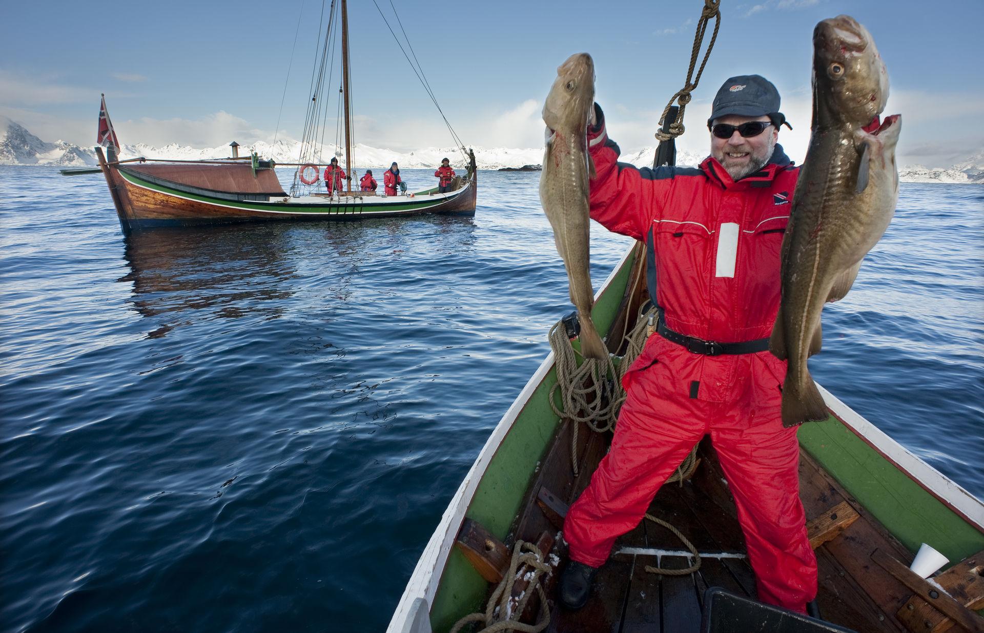 A man holding up two big cod on a boat outside of Bodø in Northern Norway