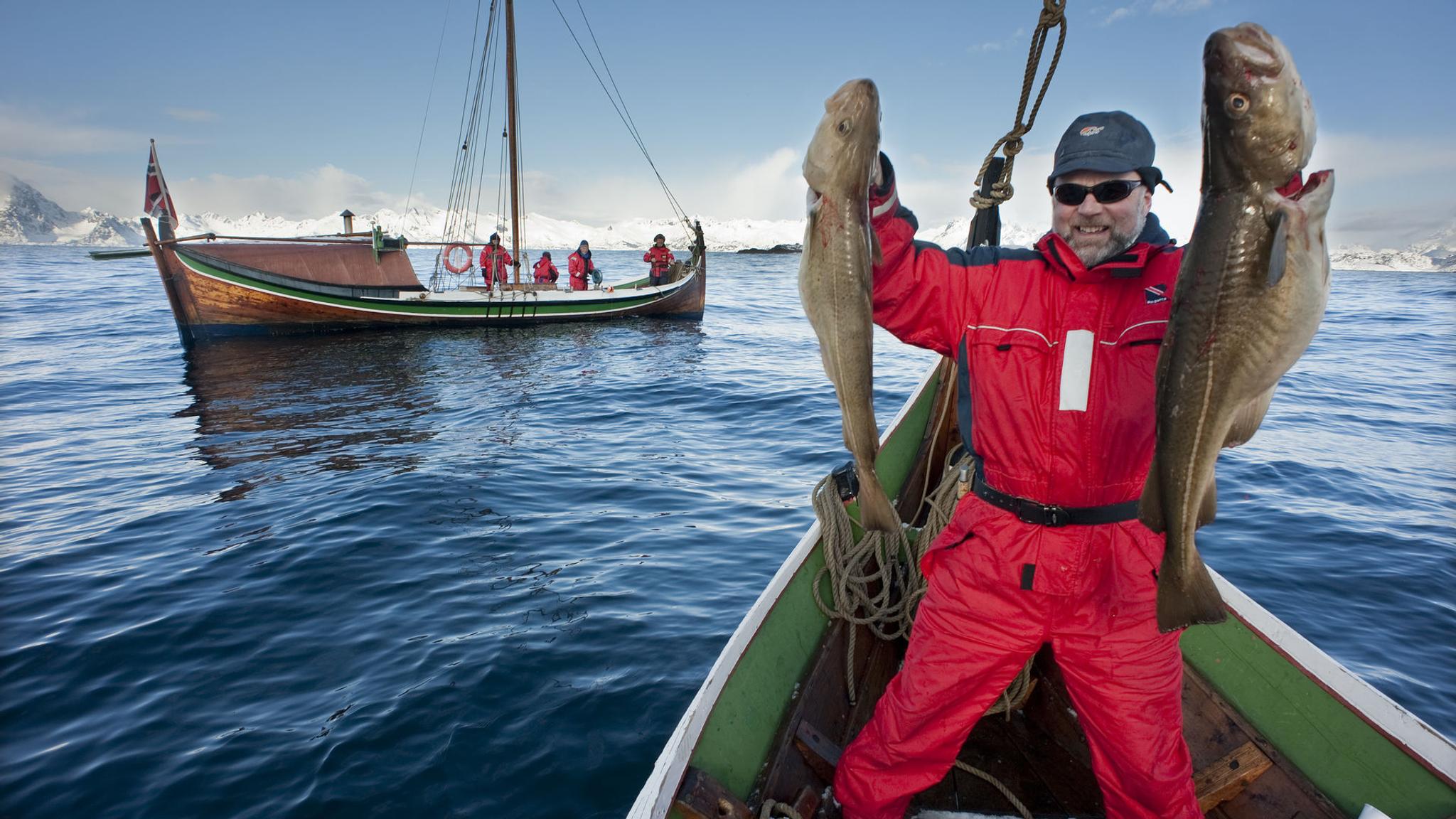 Een man die twee grote kabeljauwen vasthoudt op een boot, net buiten Bodø in Noord-Noorwegen