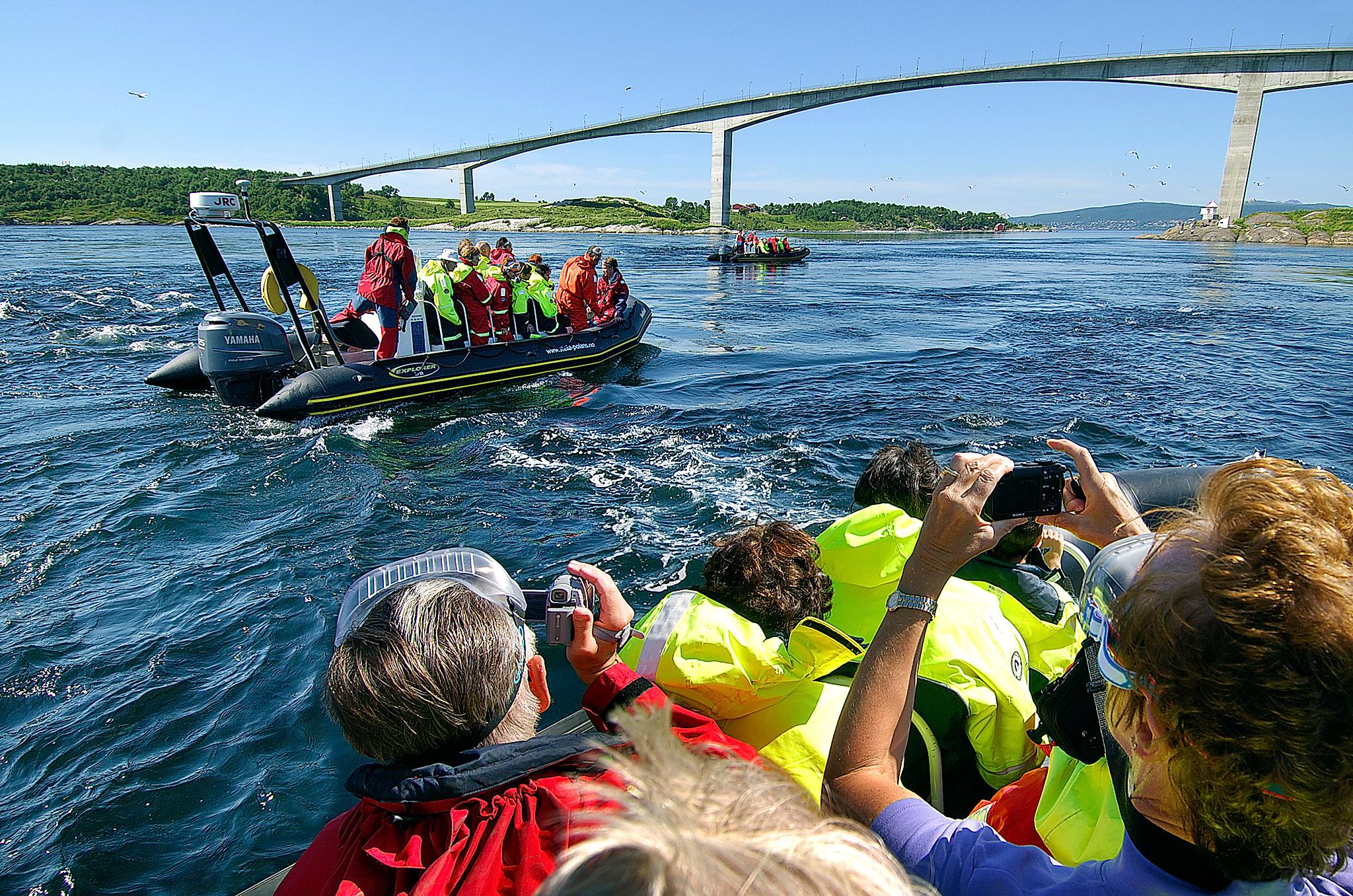 RIB boat safari at Saltstraumen outside Bodø in Northern Norway