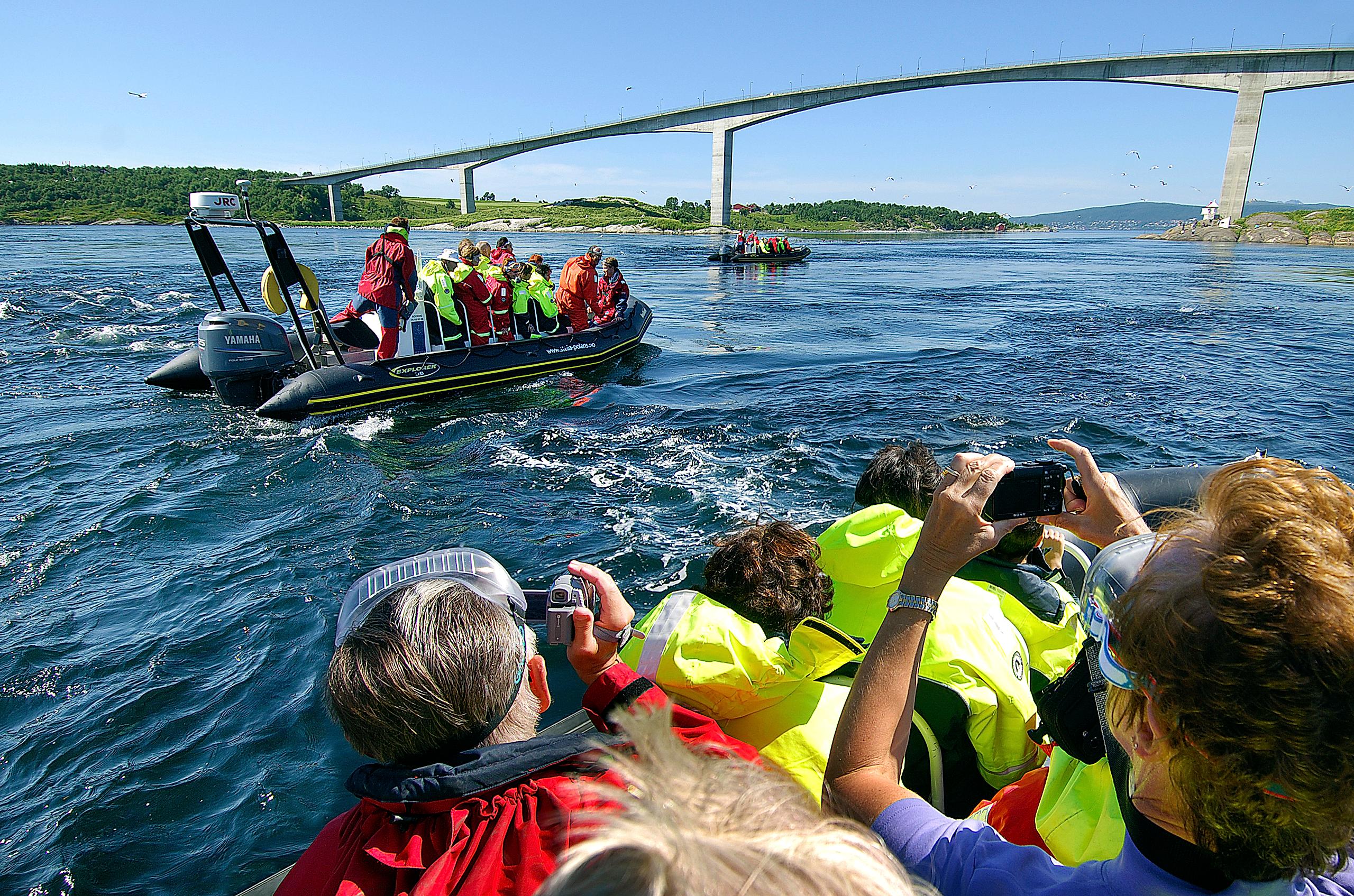 RIB boat safari at Saltstraumen outside Bodø in Northern Norway