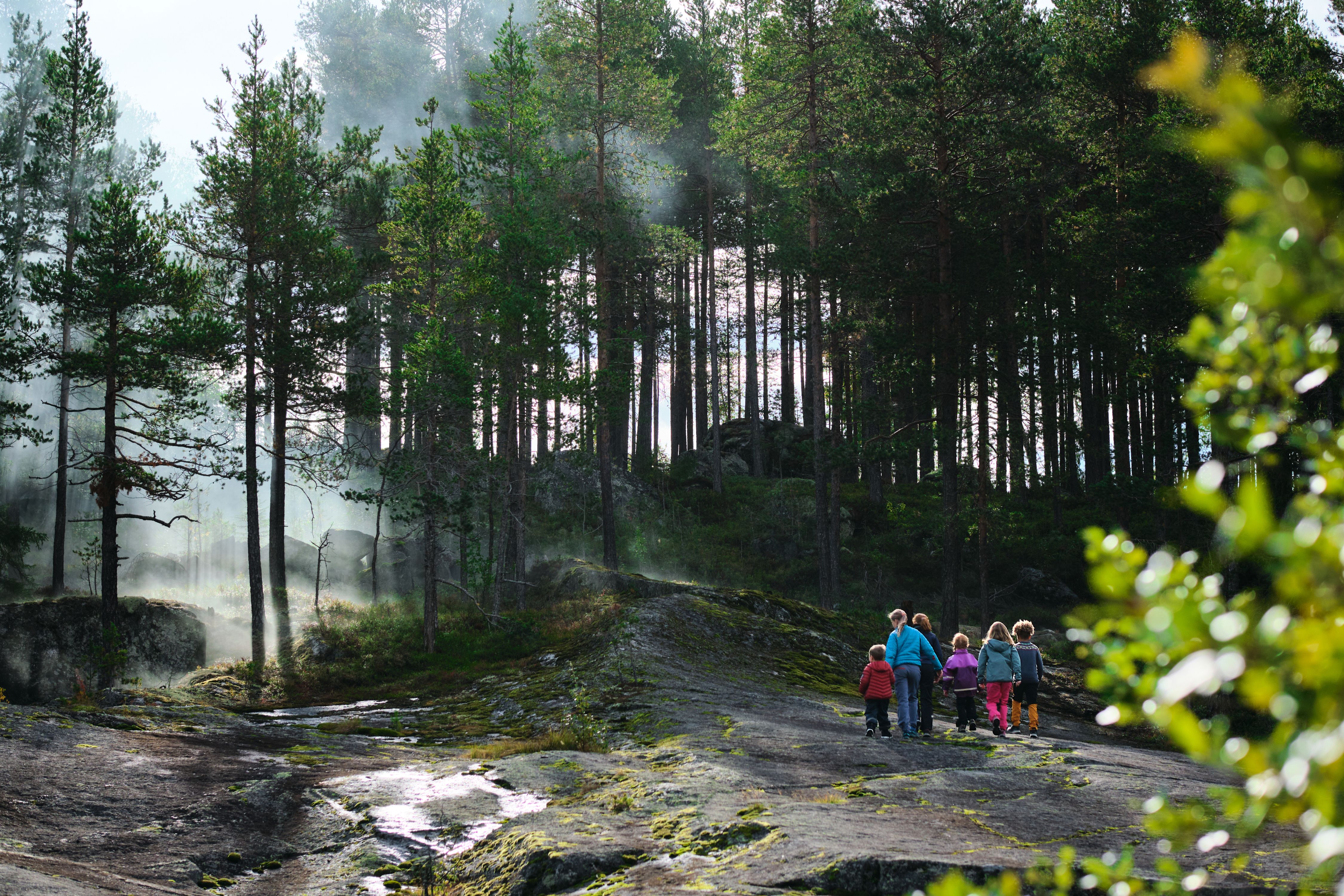 En familie går inn i en mystisk skog i Norge
