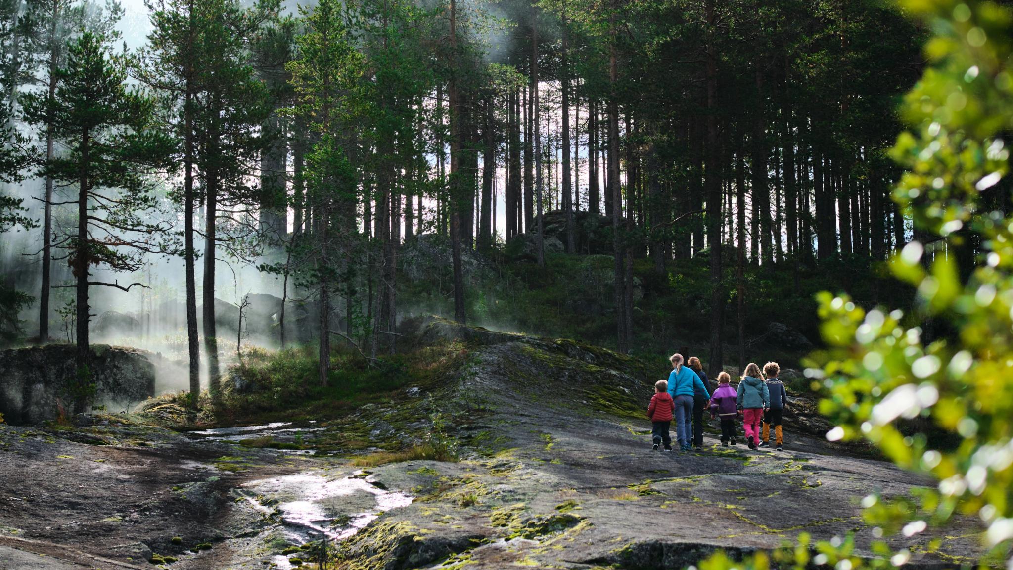 En familie går inn i en mystisk skog i Norge