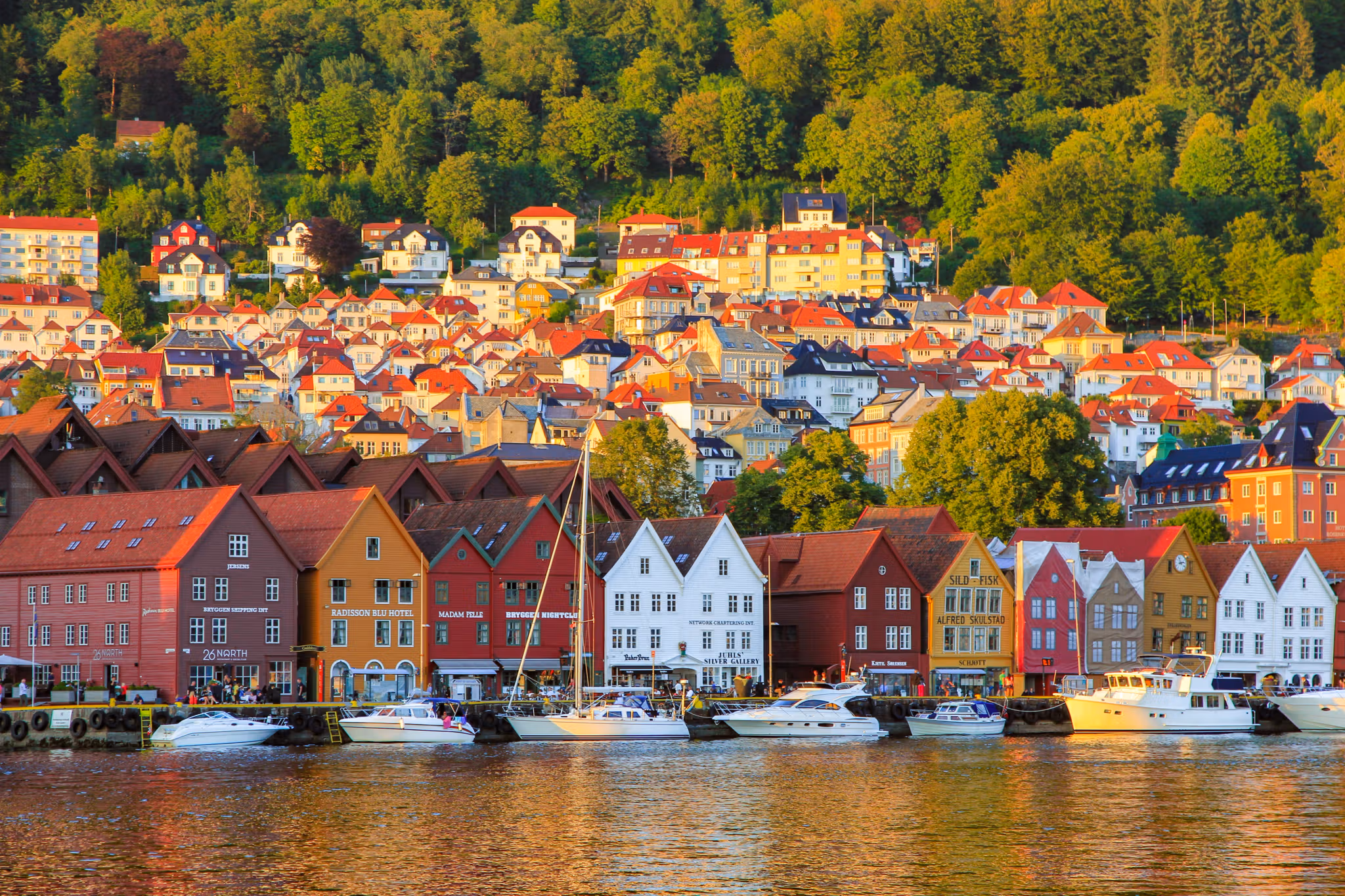 The colorful wharf, Bryggen in Bergen in Fjord Norway during summer