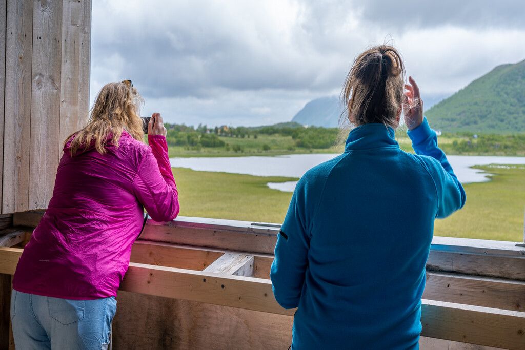 Skjærpvatnet birdwatching tower