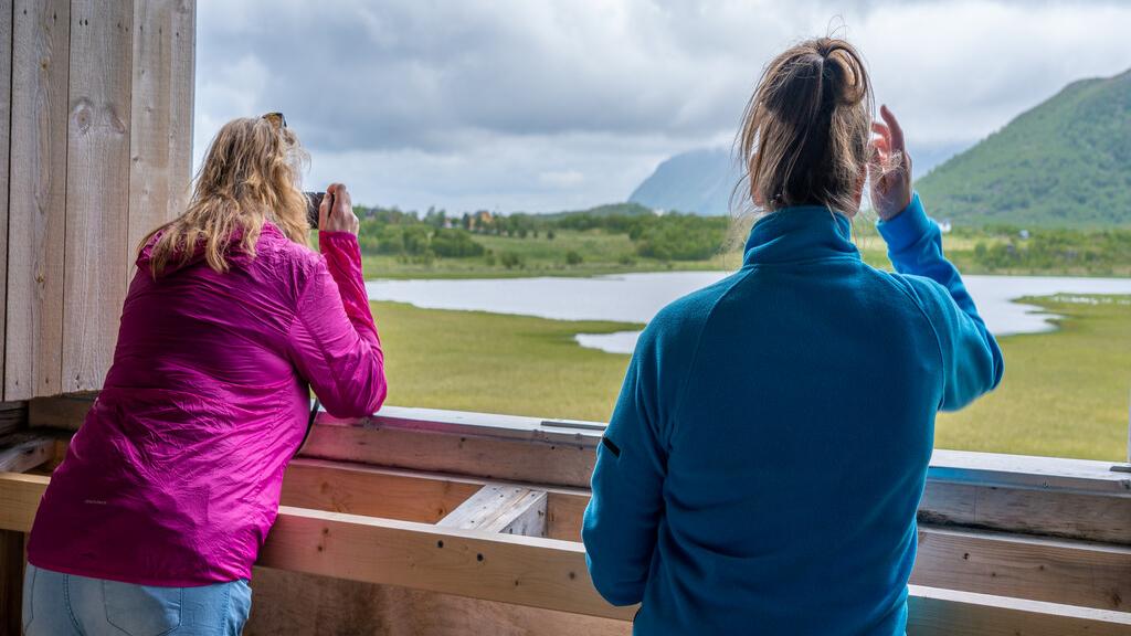 Skjærpvatnet birdwatching tower