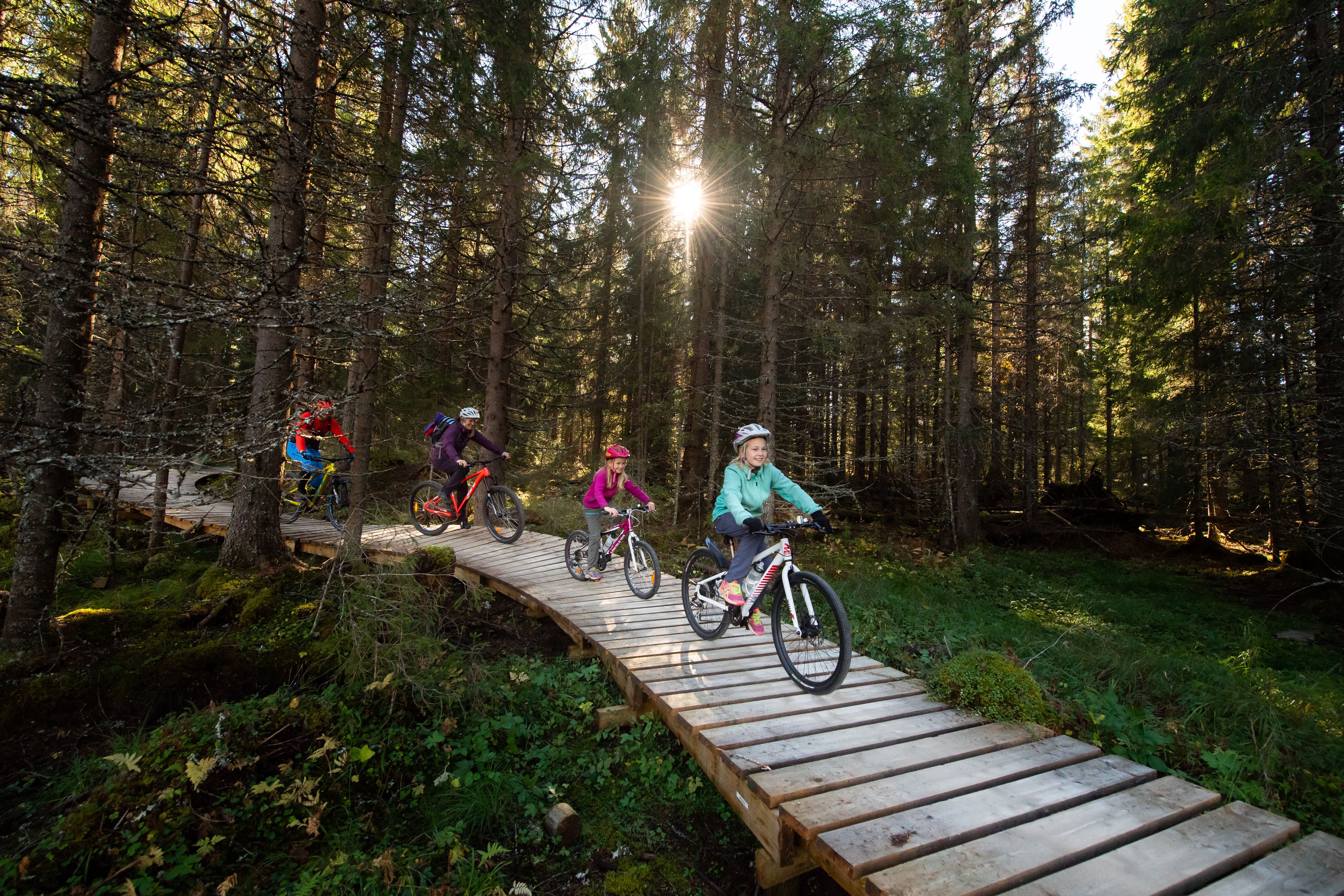 A family of four is biking through the woods in Trysil bike arena in Trysil, Eastern Norway
