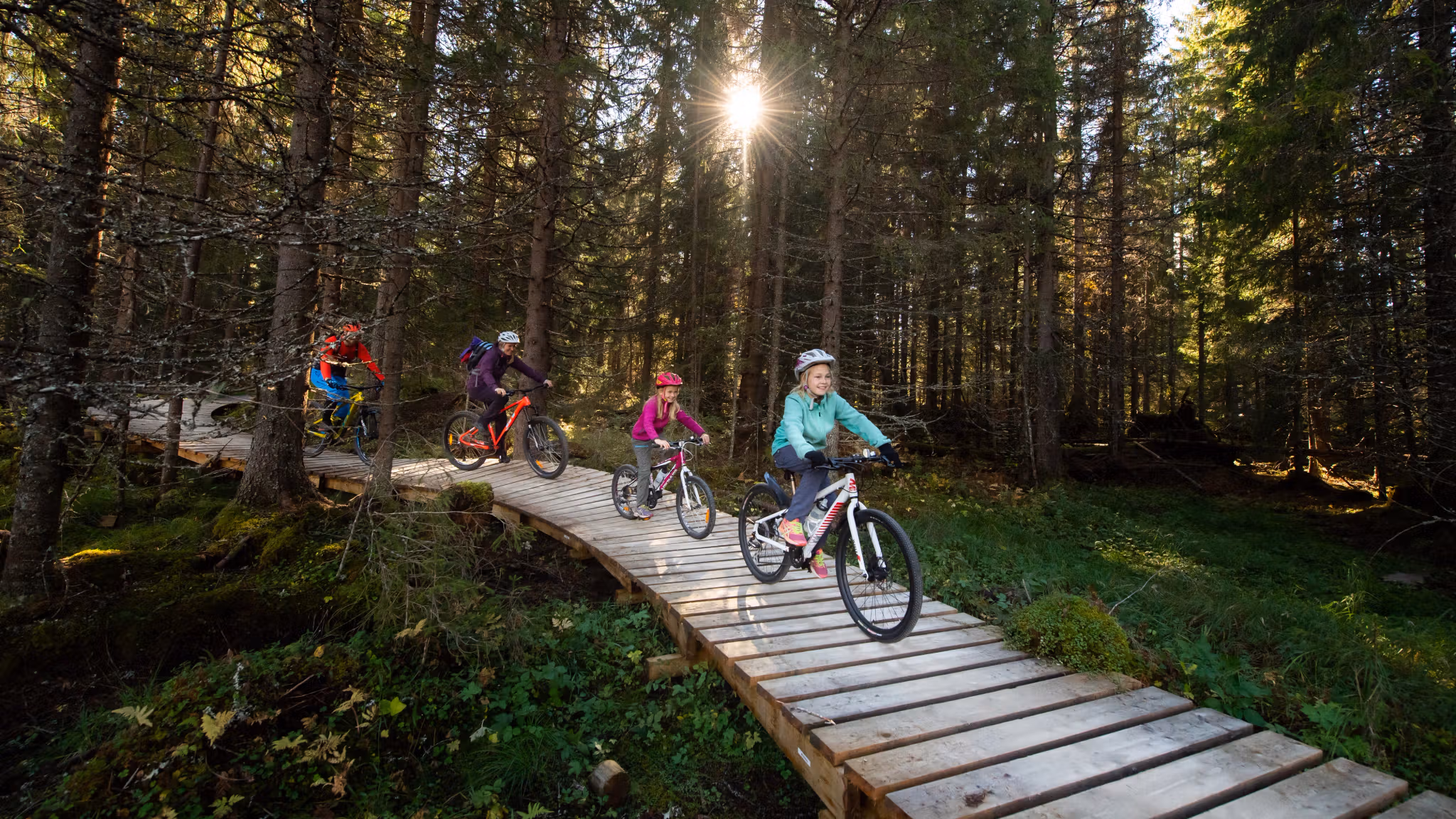 A family of four is biking through the woods in Trysil bike arena in Trysil, Eastern Norway