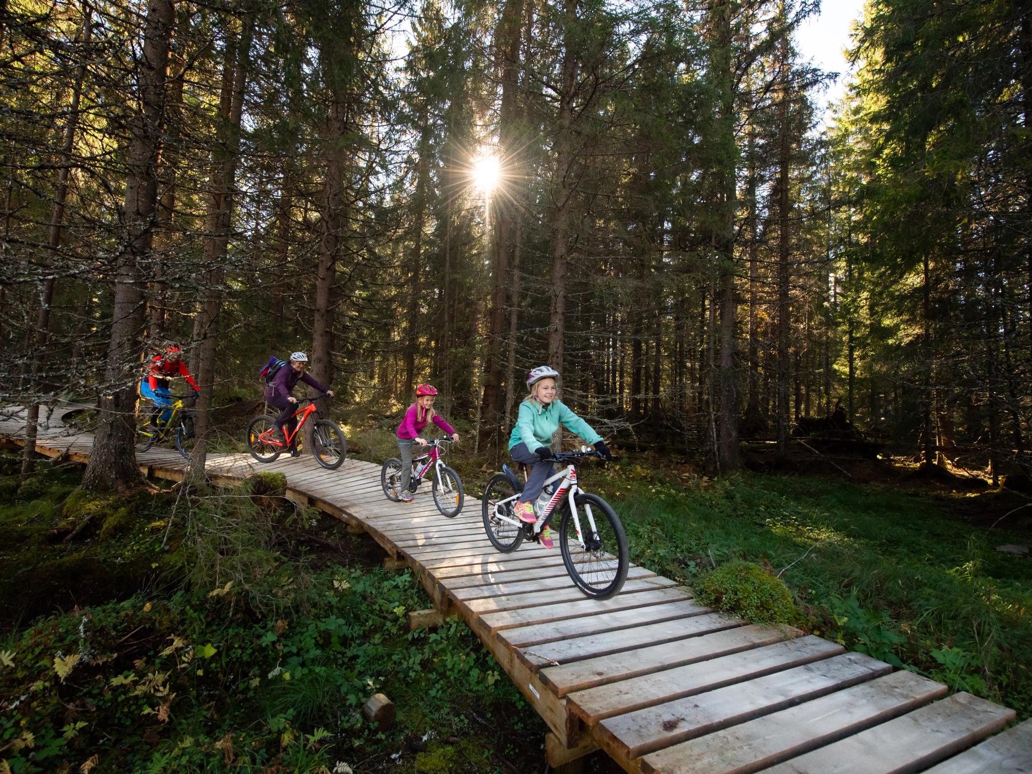 En familj med fyra personer cyklar genom skogarna i Trysil, Østlandet (östra Norge)