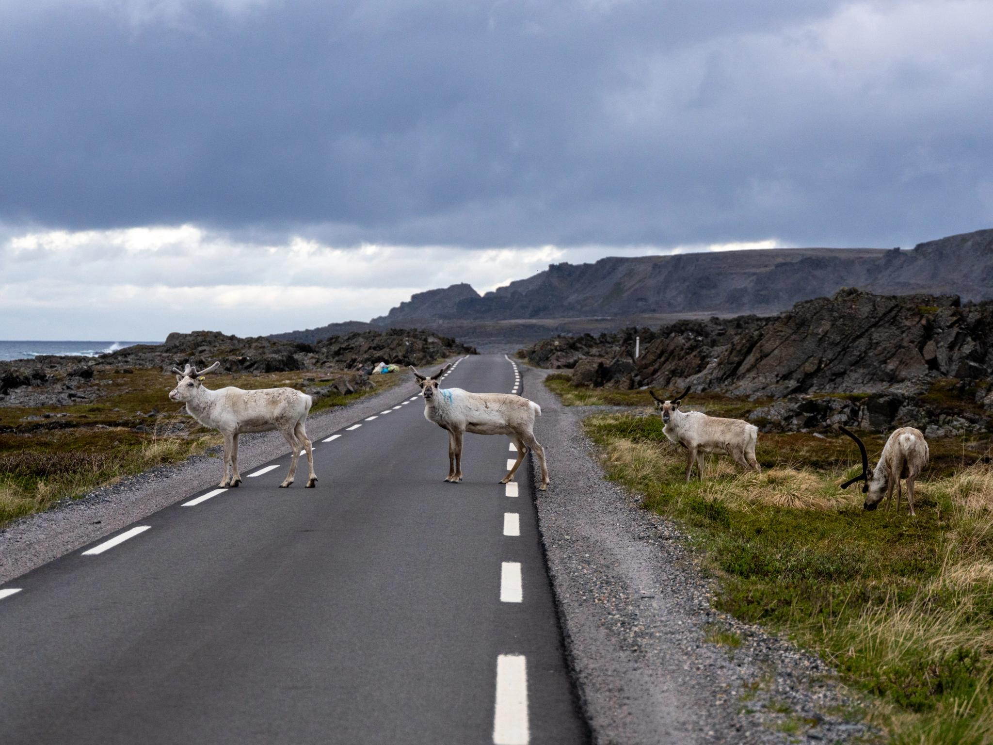 /plan-your-trip/getting-around/by-car/driving-in-winter/