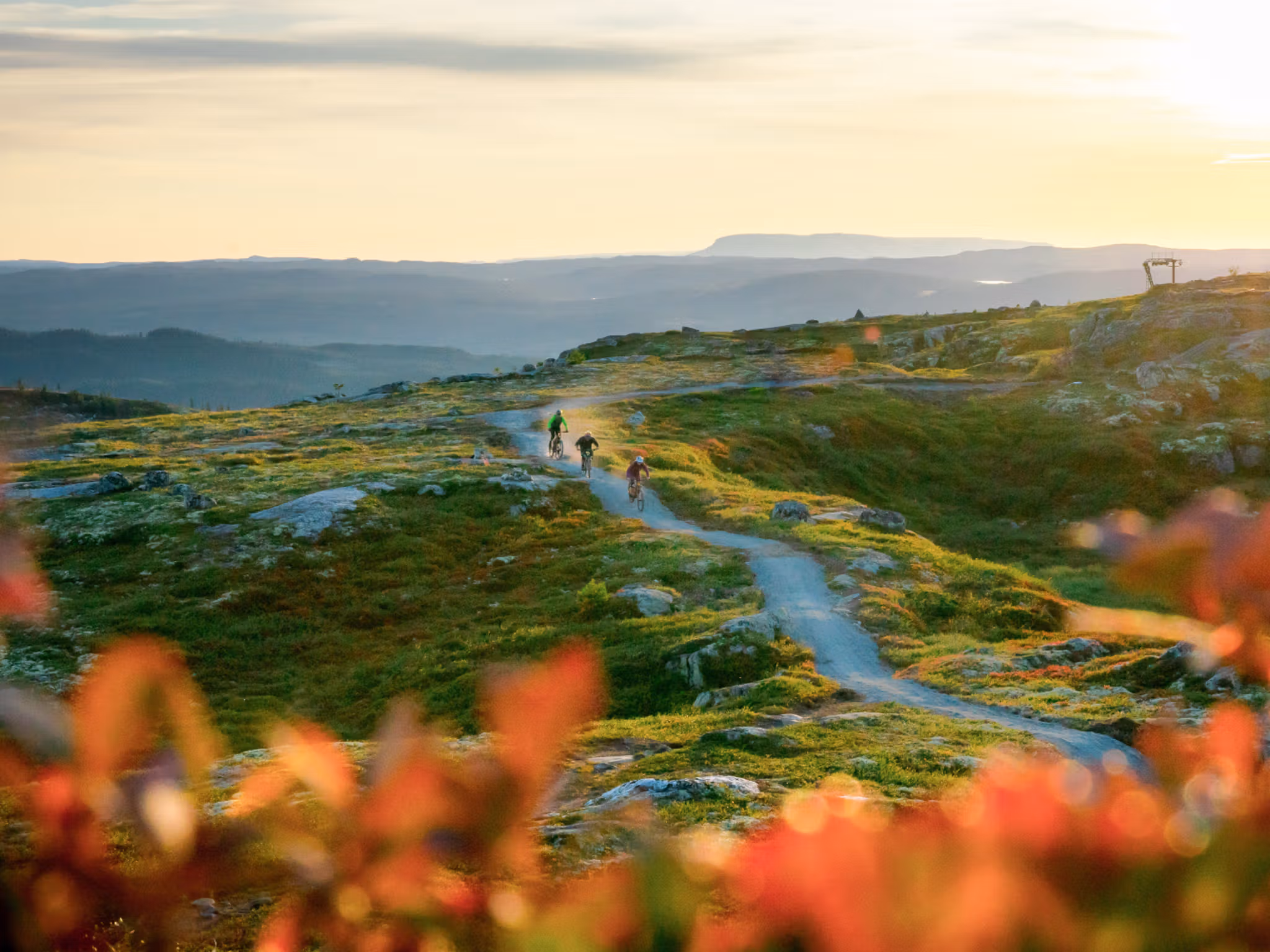 People cycling in Hallingspranget, Eastern Norway.