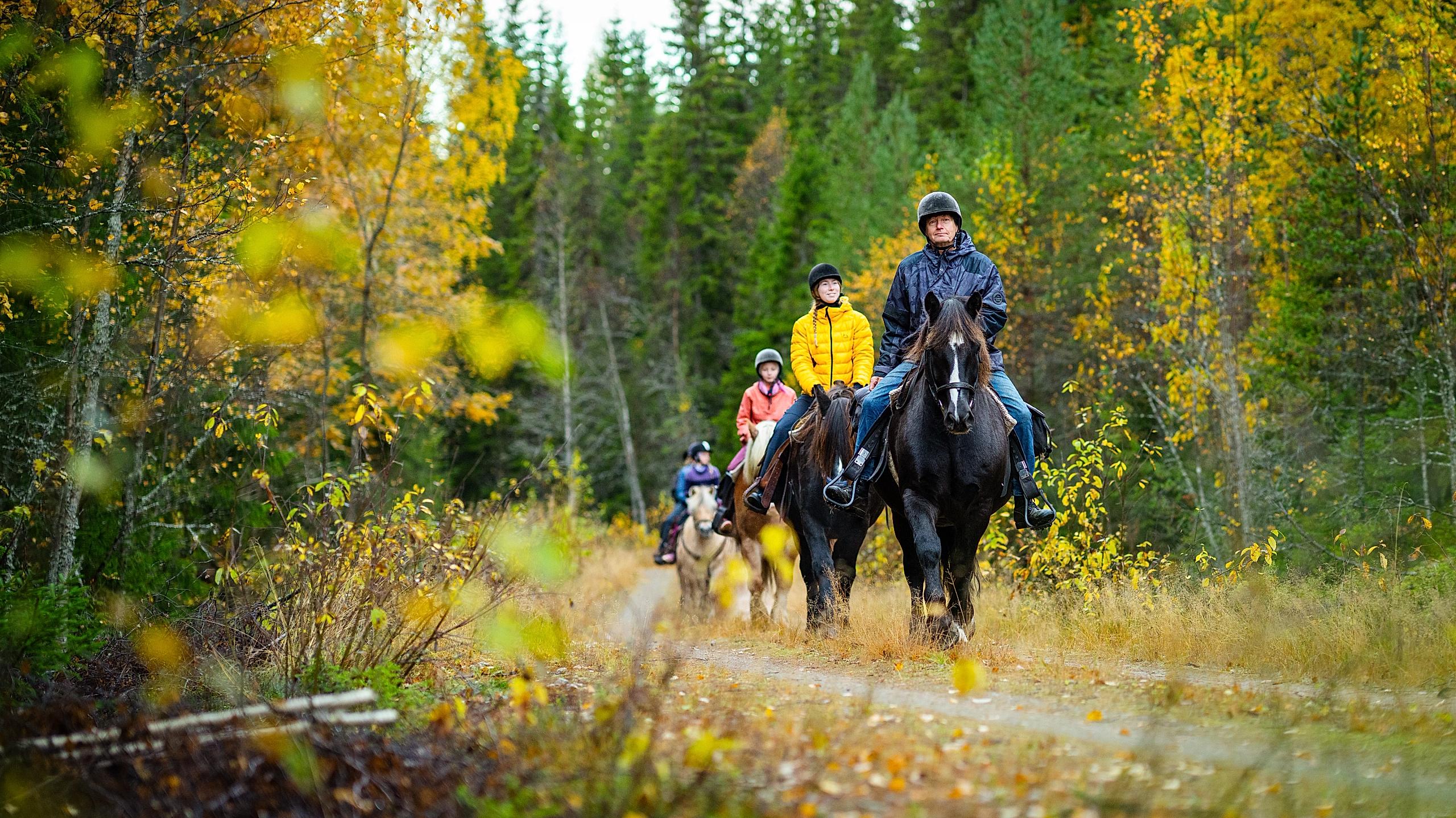 Folk på ridetur i skogen i Trysil.