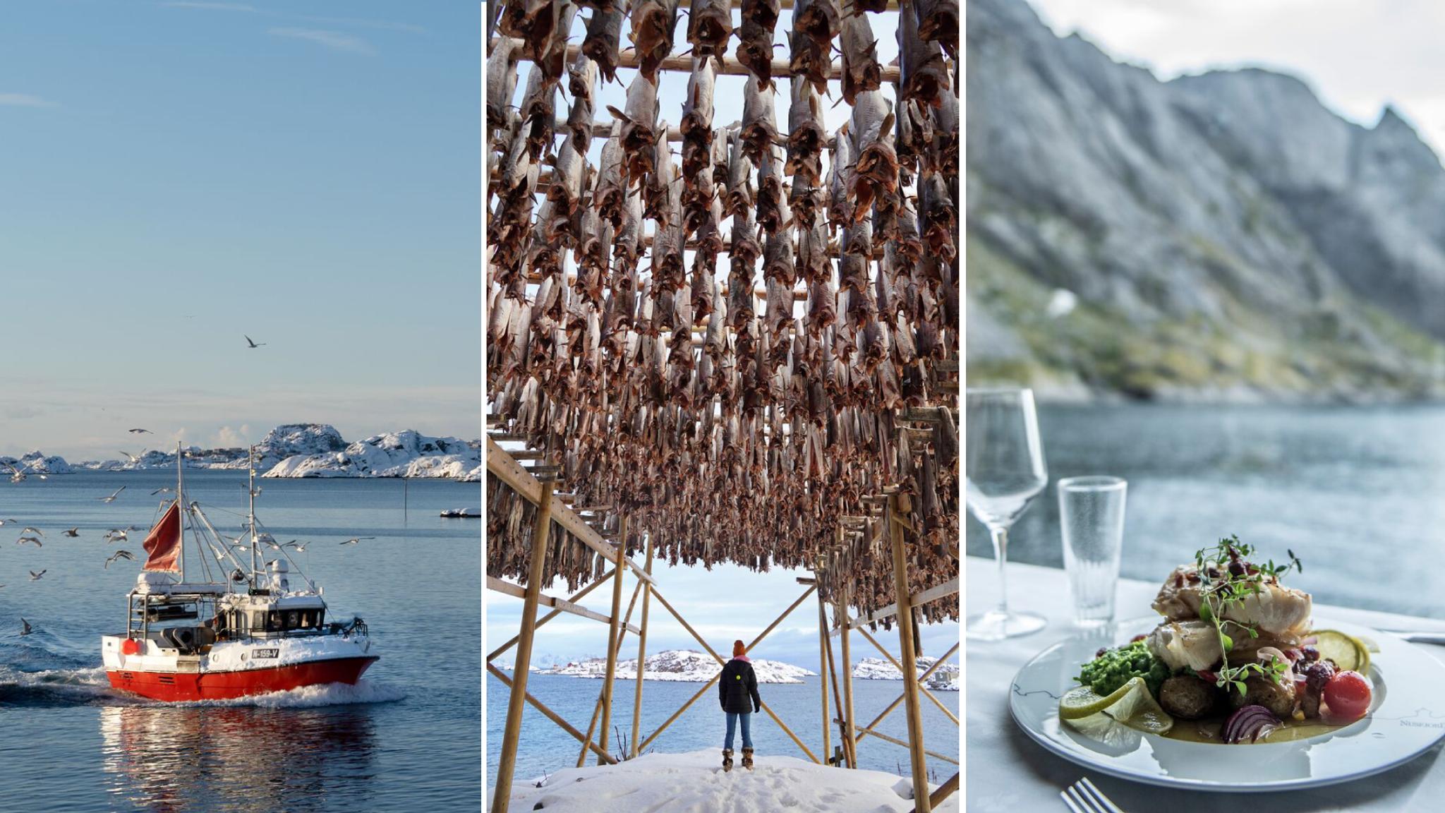 Skrei season in Northern Norway