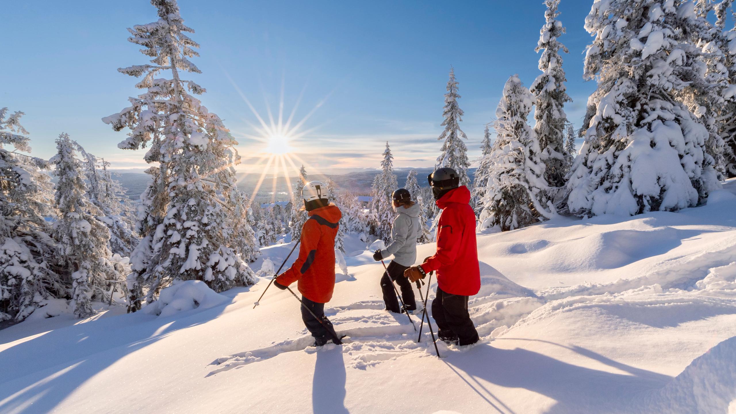 Venner kjører ski i Trysil